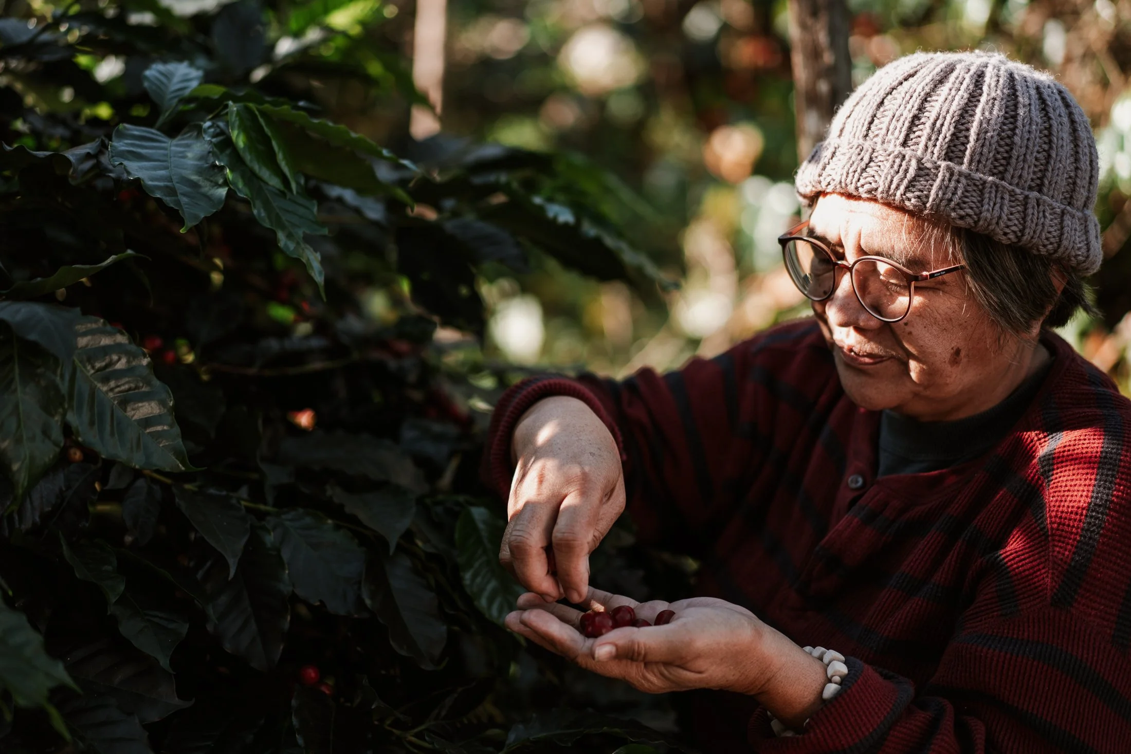 Benguet Coffee Farm-November 2021-3188.jpg
