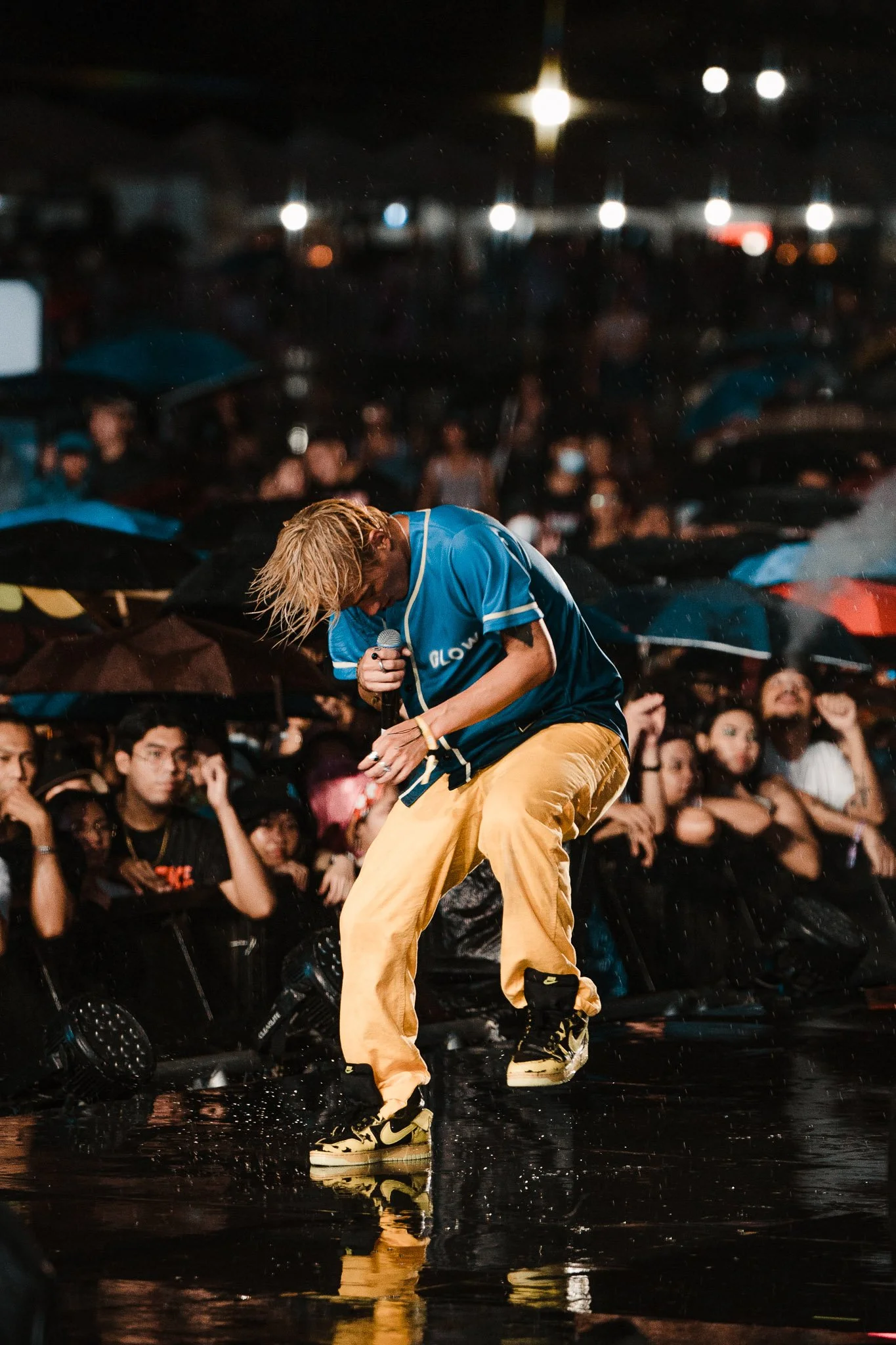  Elephante in Head in the Clouds Manila, 2022. 
