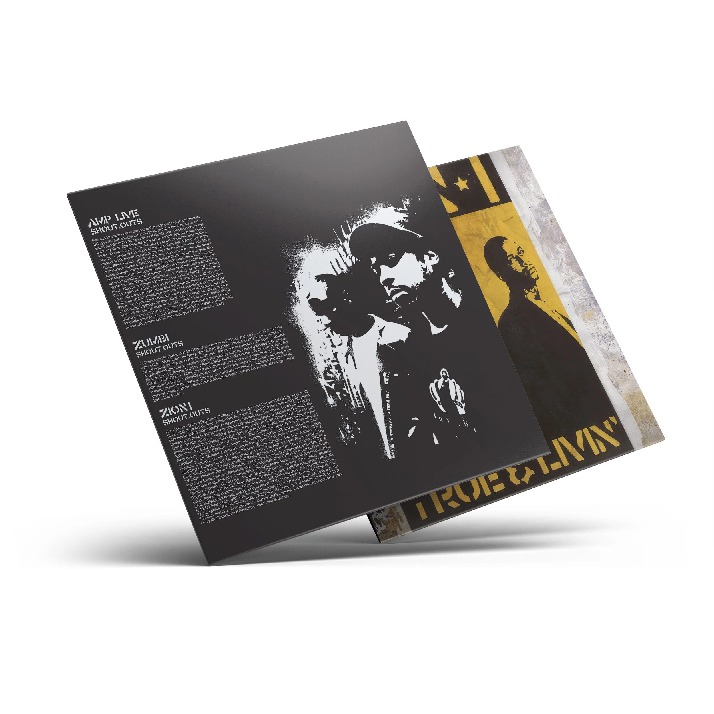 CM132-LP-A-Insert.jpg