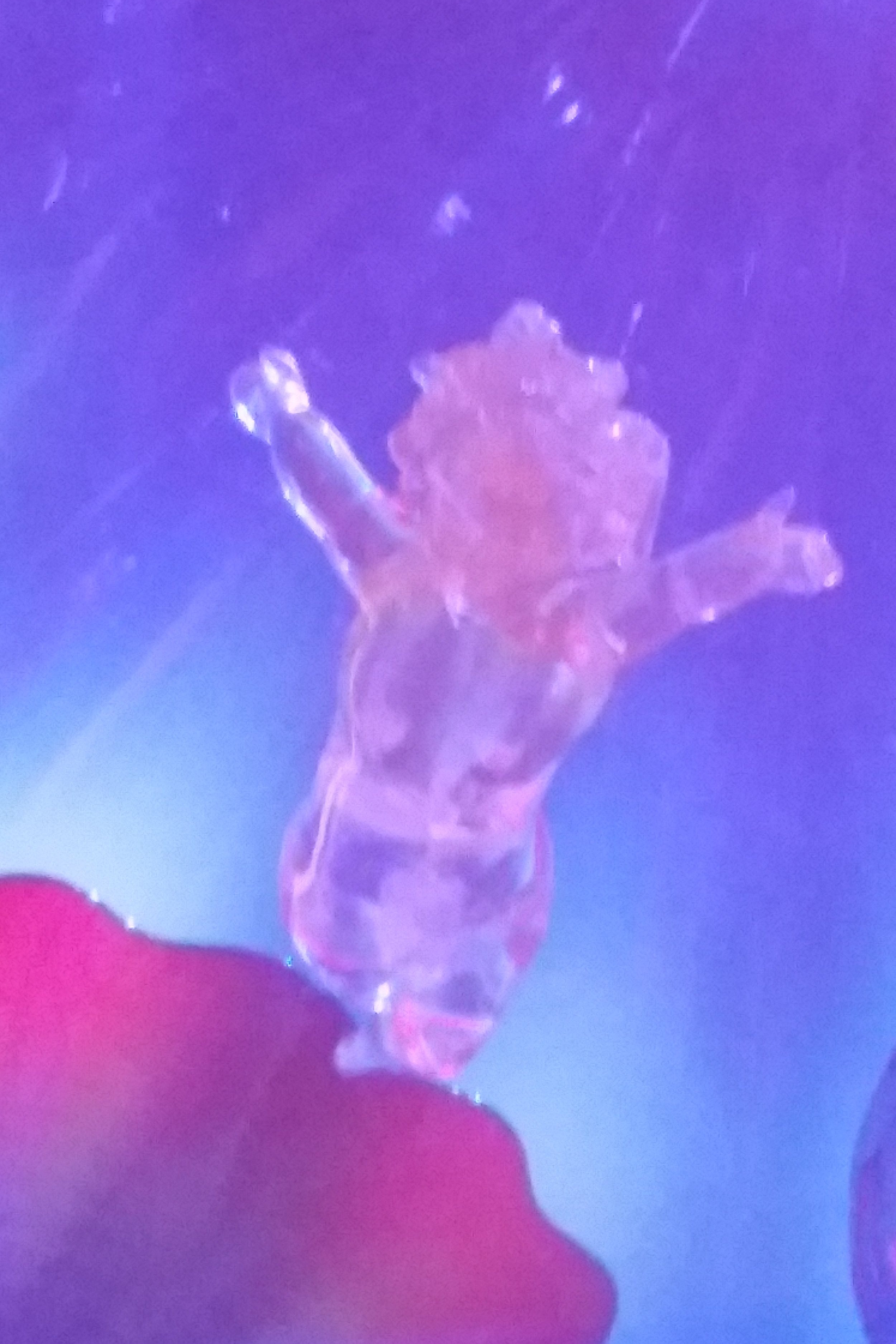 20150924_160008.jpg