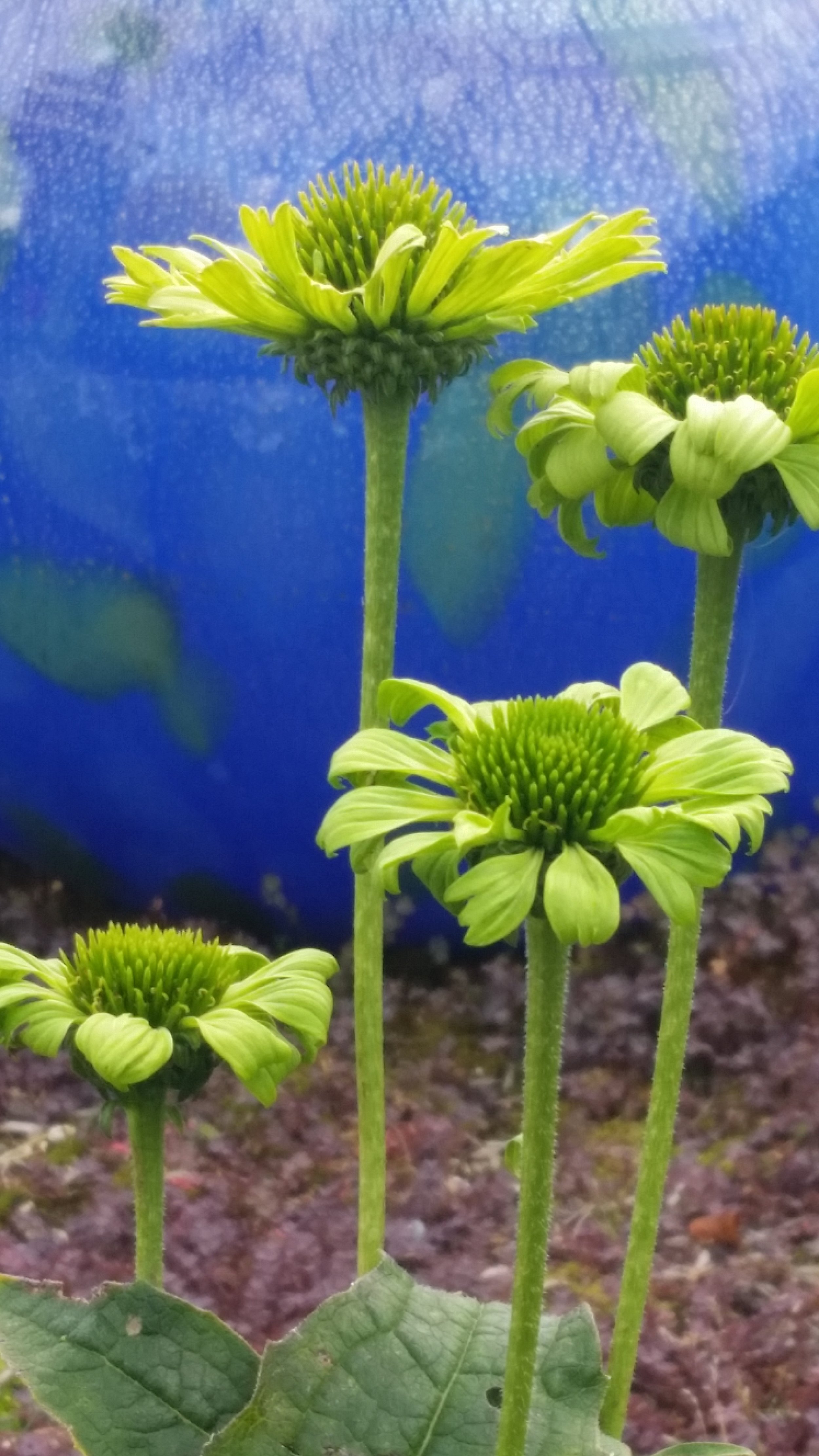 20150924_164514.jpg