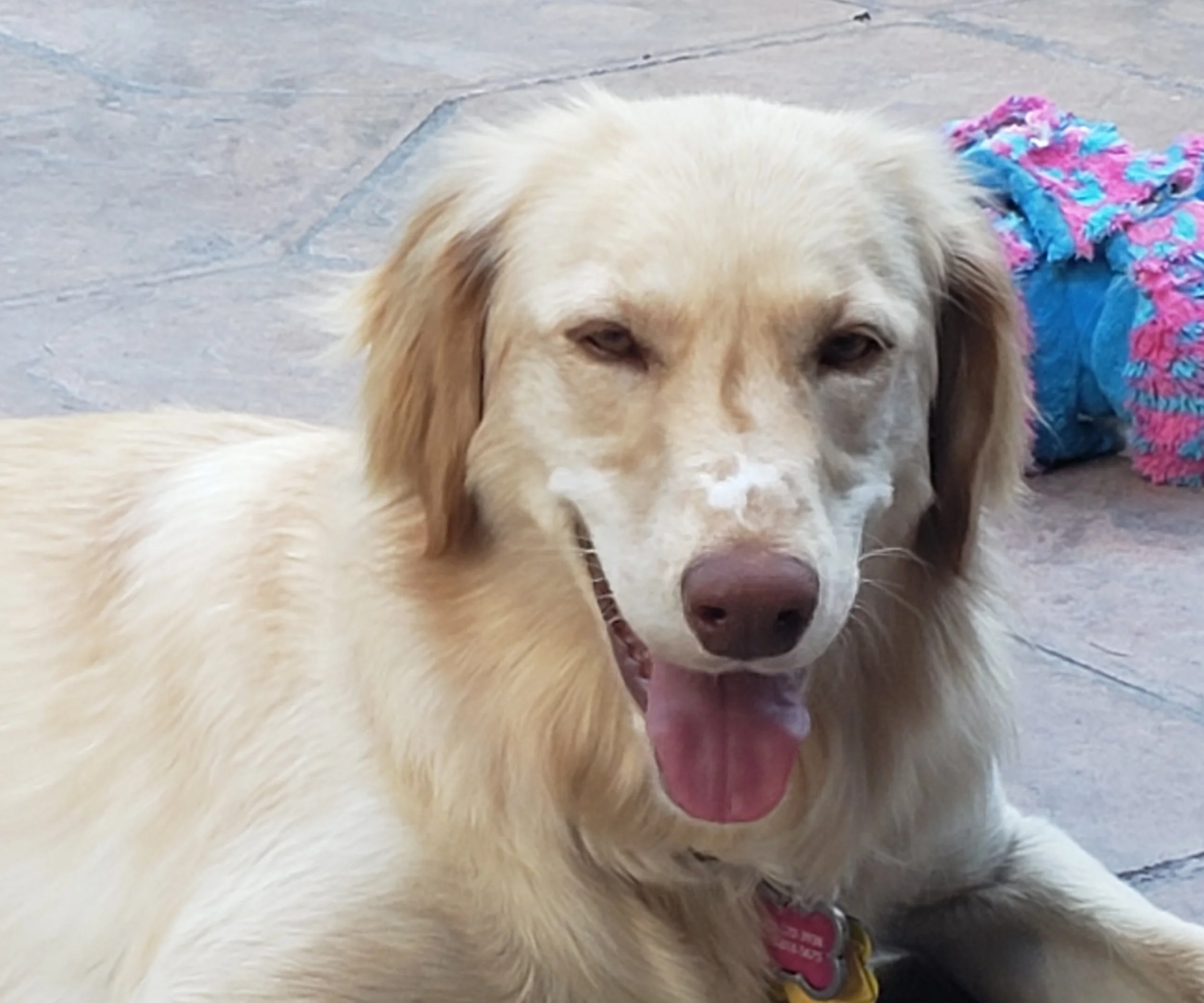 20190628_193132 crop.jpg
