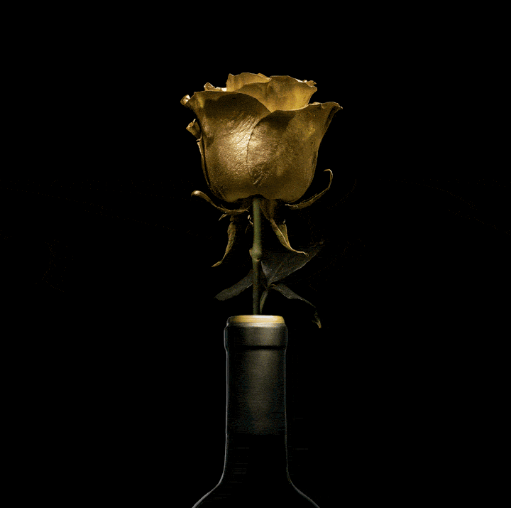 THE PHANTOM BLOOMS