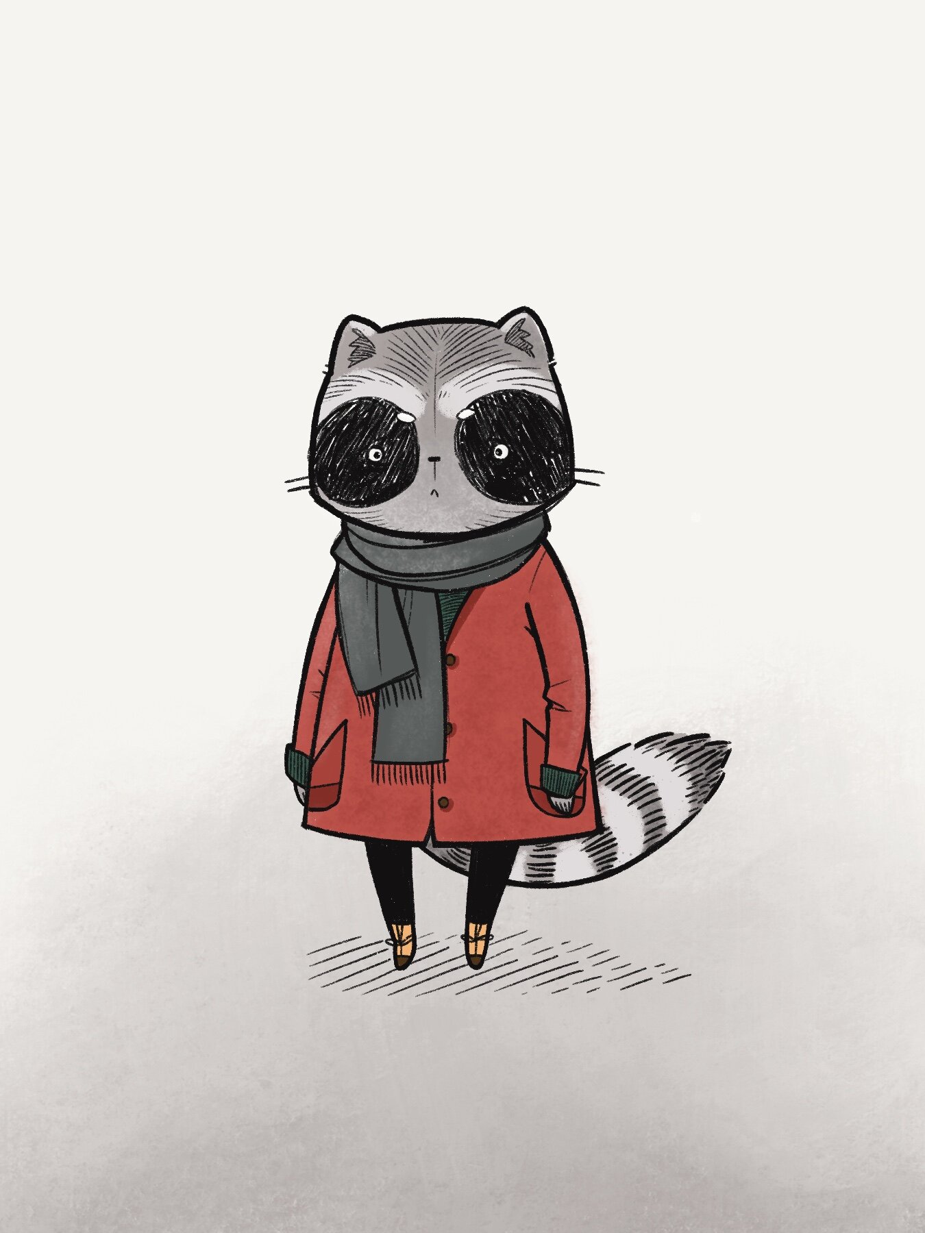 raccoon_cat.jpg