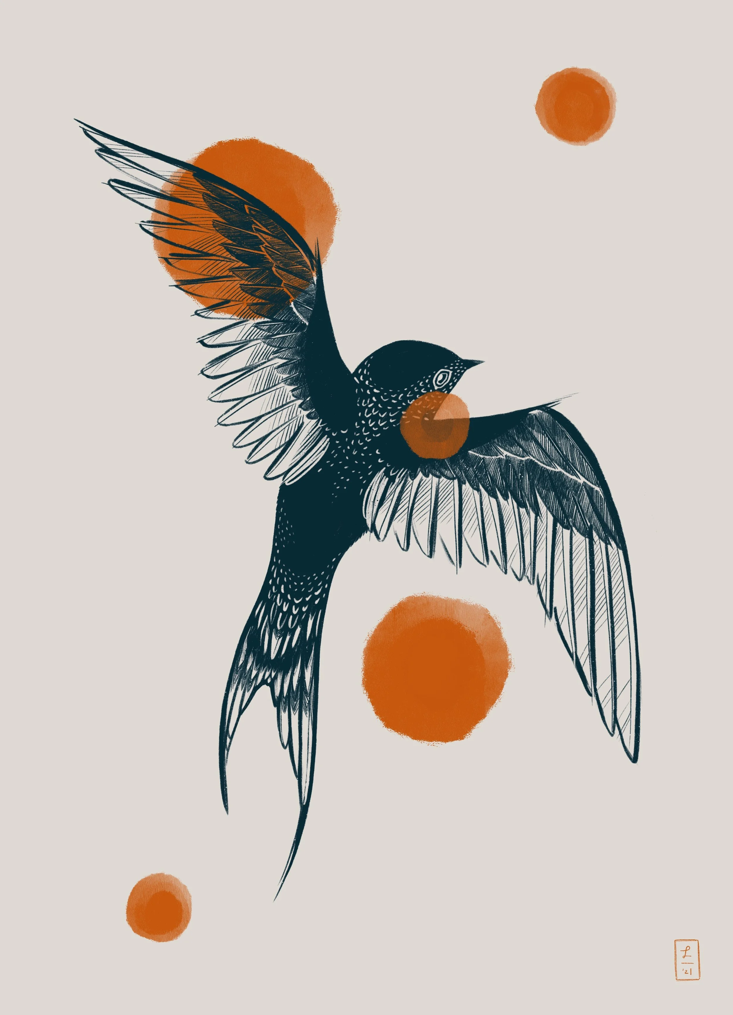 barn_swallow.JPG