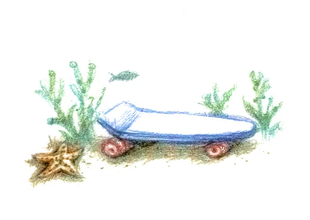 skate board.jpg