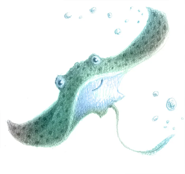 ray.jpg