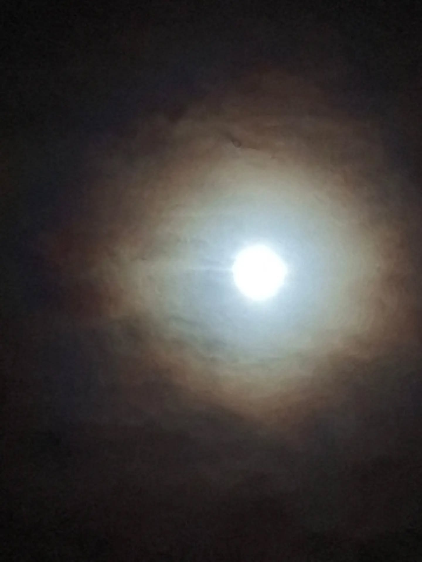 MOON. ○. 50 tomorrow. wierd. emotional. SKY
Pre birthday treat Ana Mendieta...she knew.
Tomorrow, feast day of my birthday..STELLA MARIS ☆