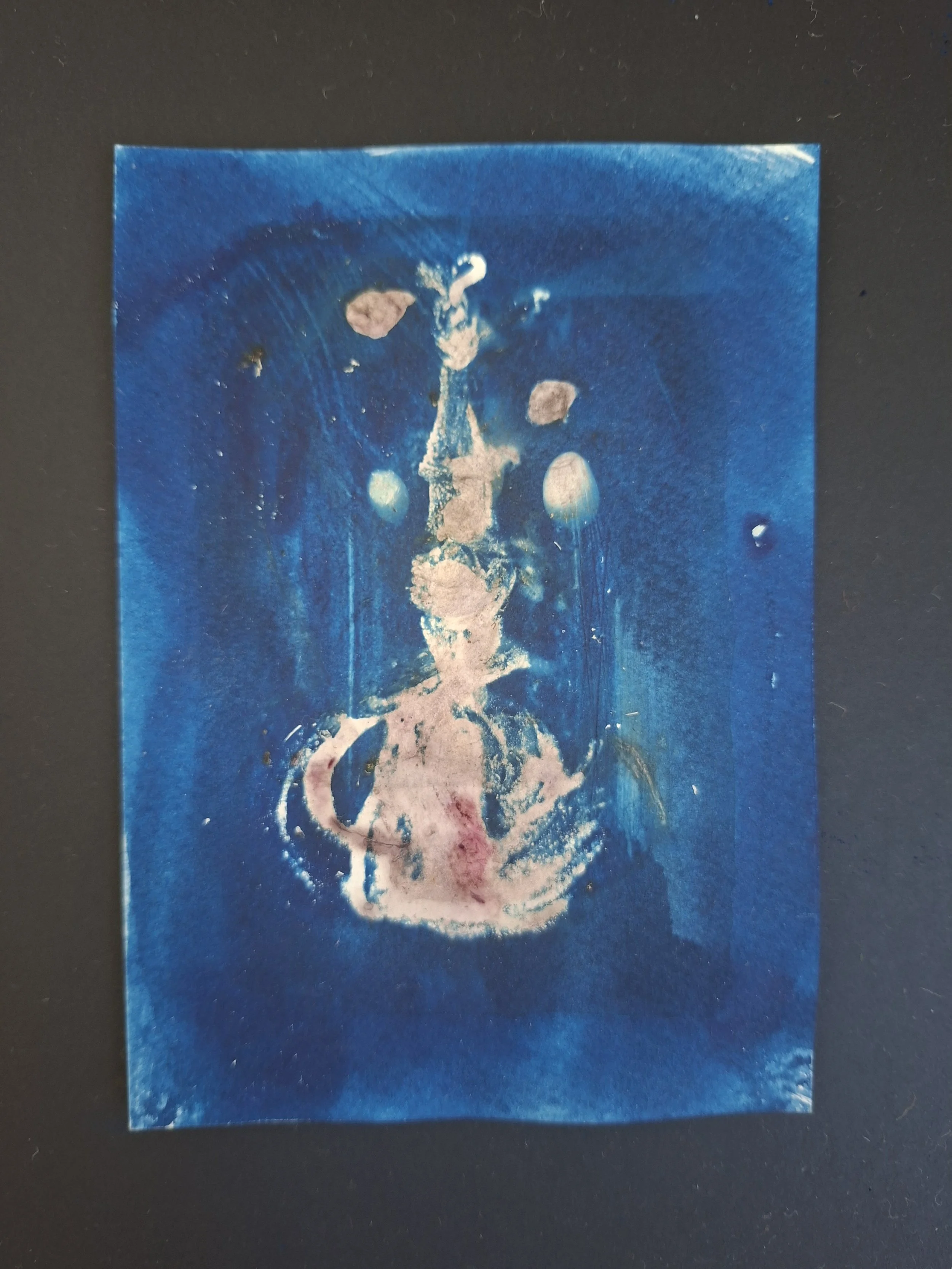 20260908_124612.jpg