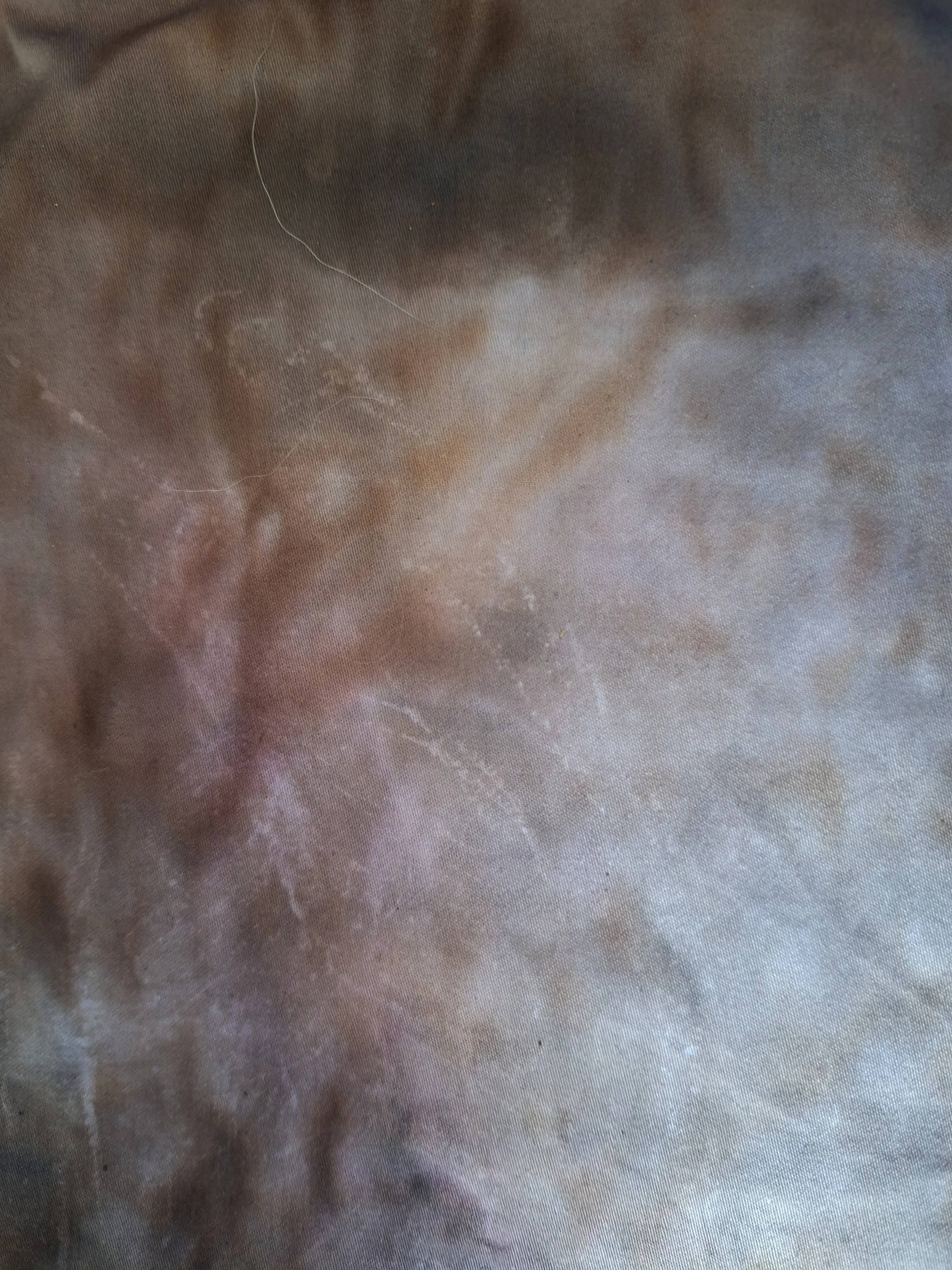 20260522_115034.jpg