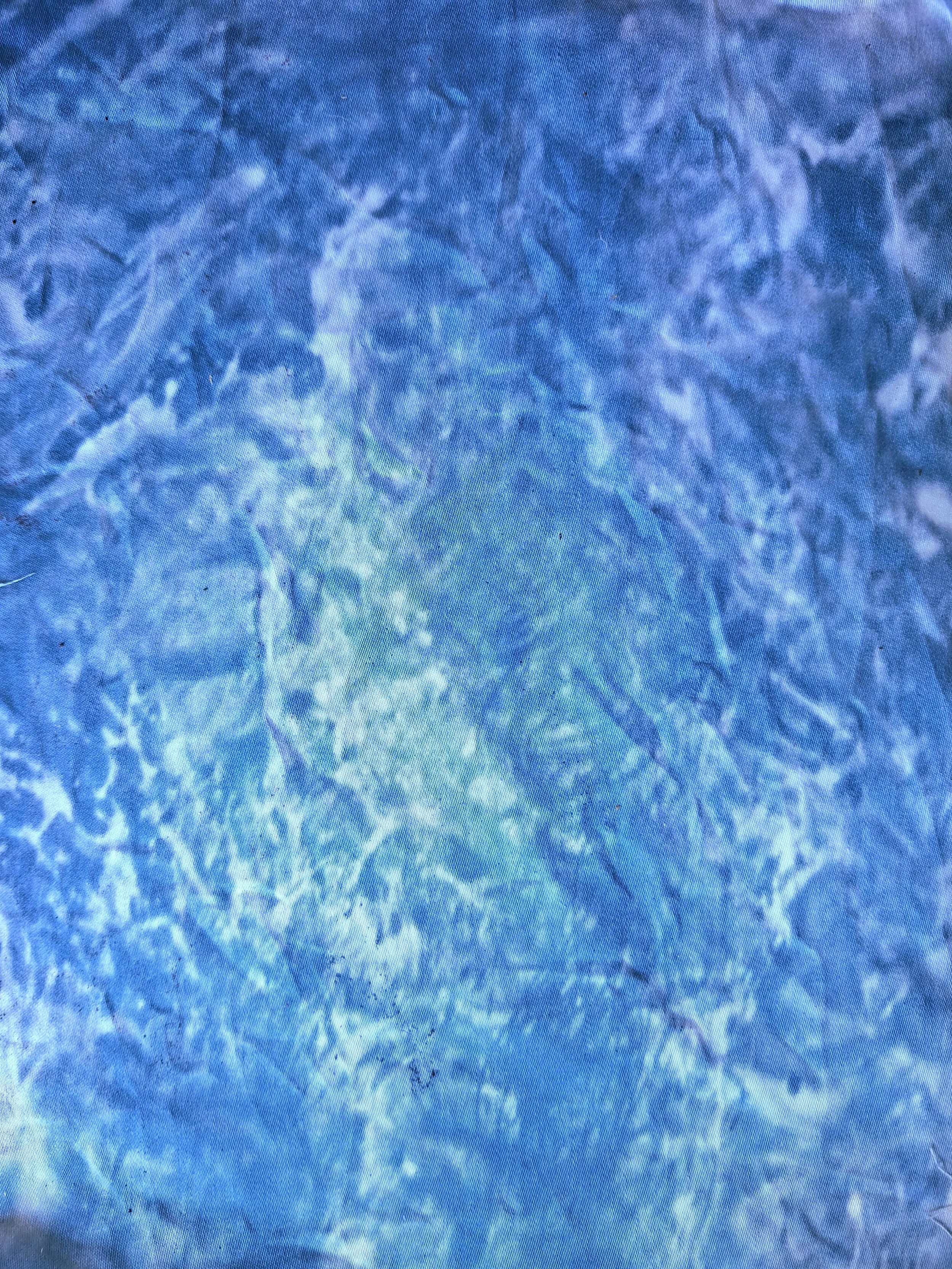 20260522_114651.jpg