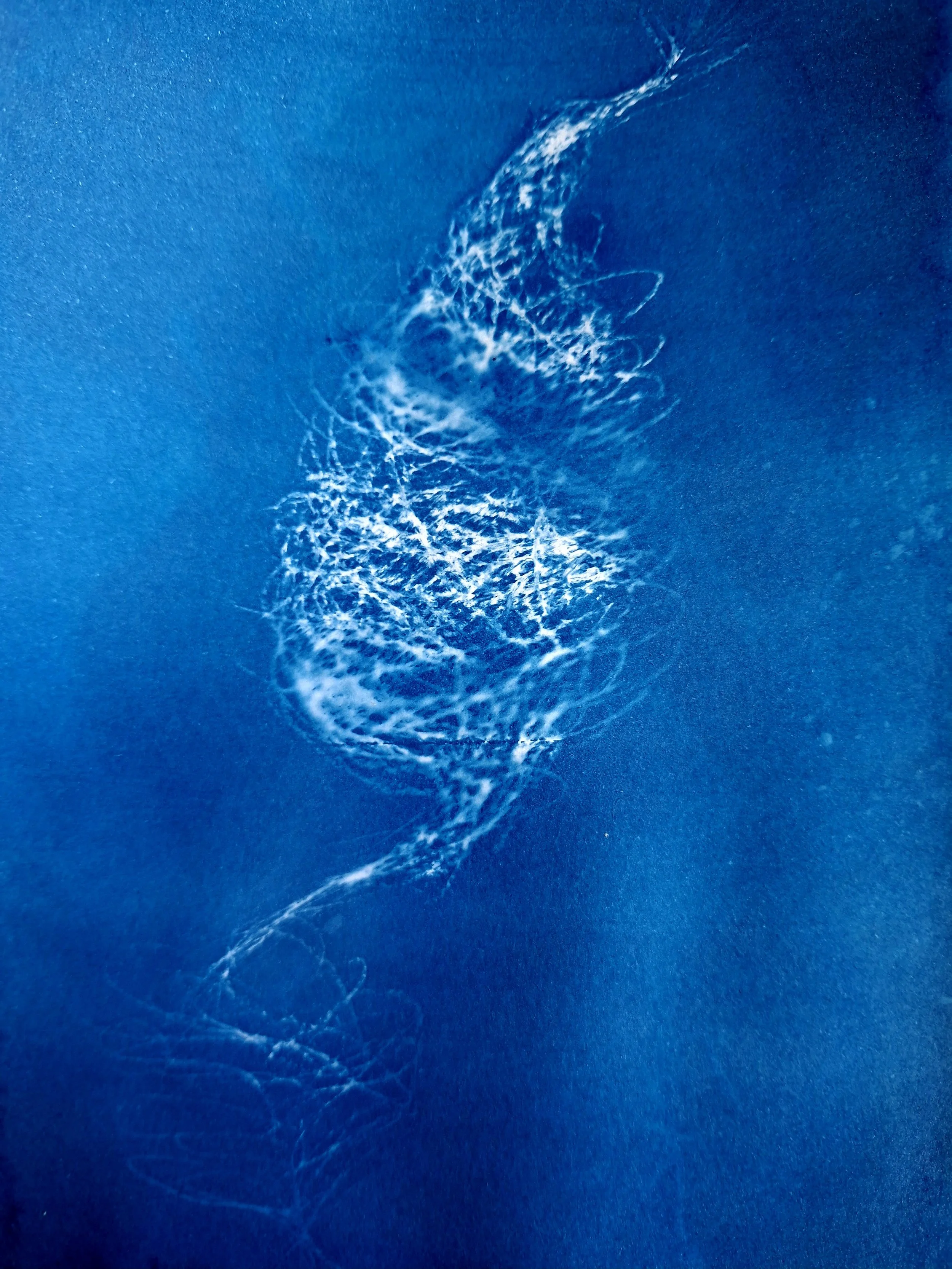20260424_093132.jpg