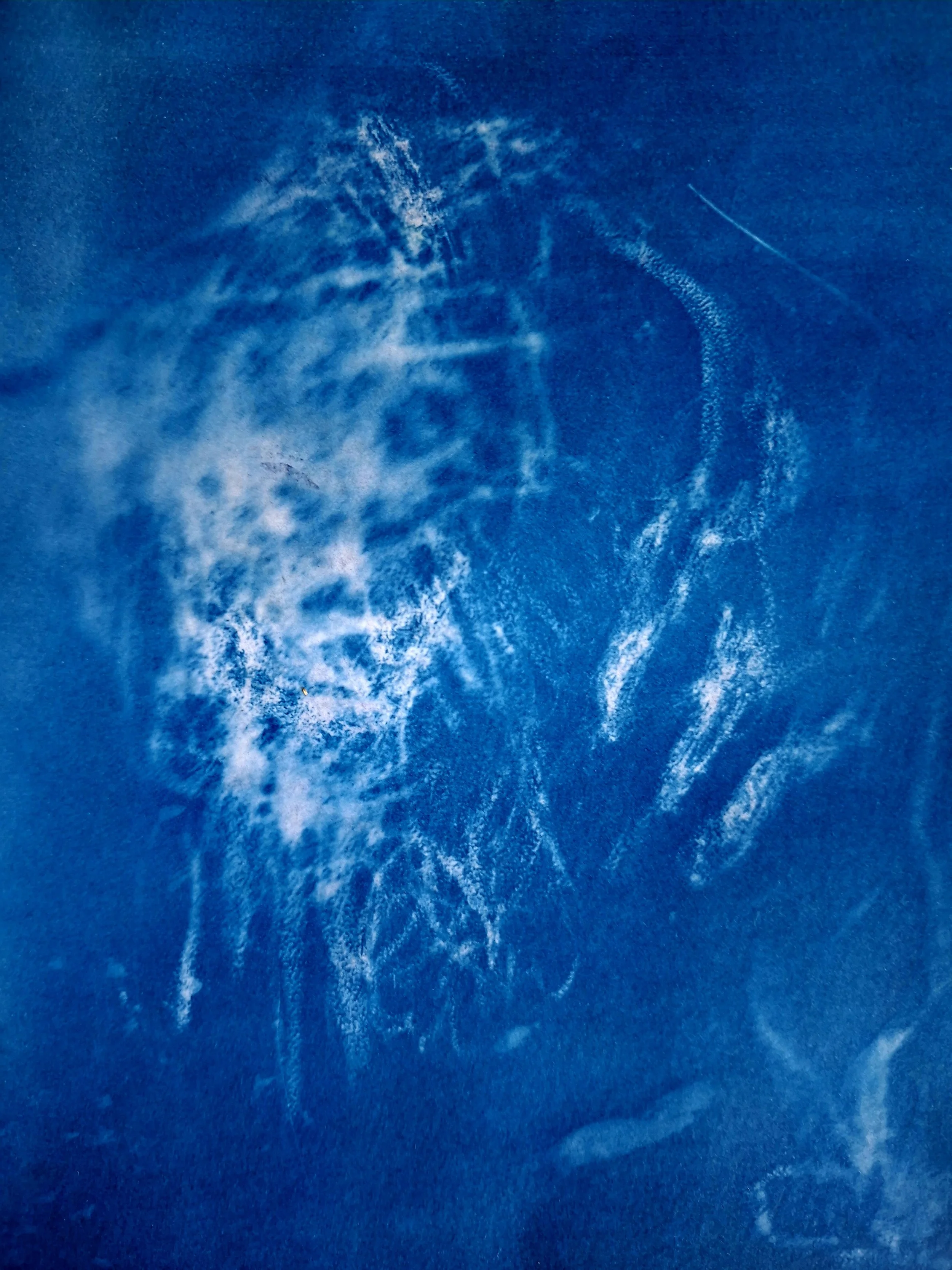 20260427_093439.jpg