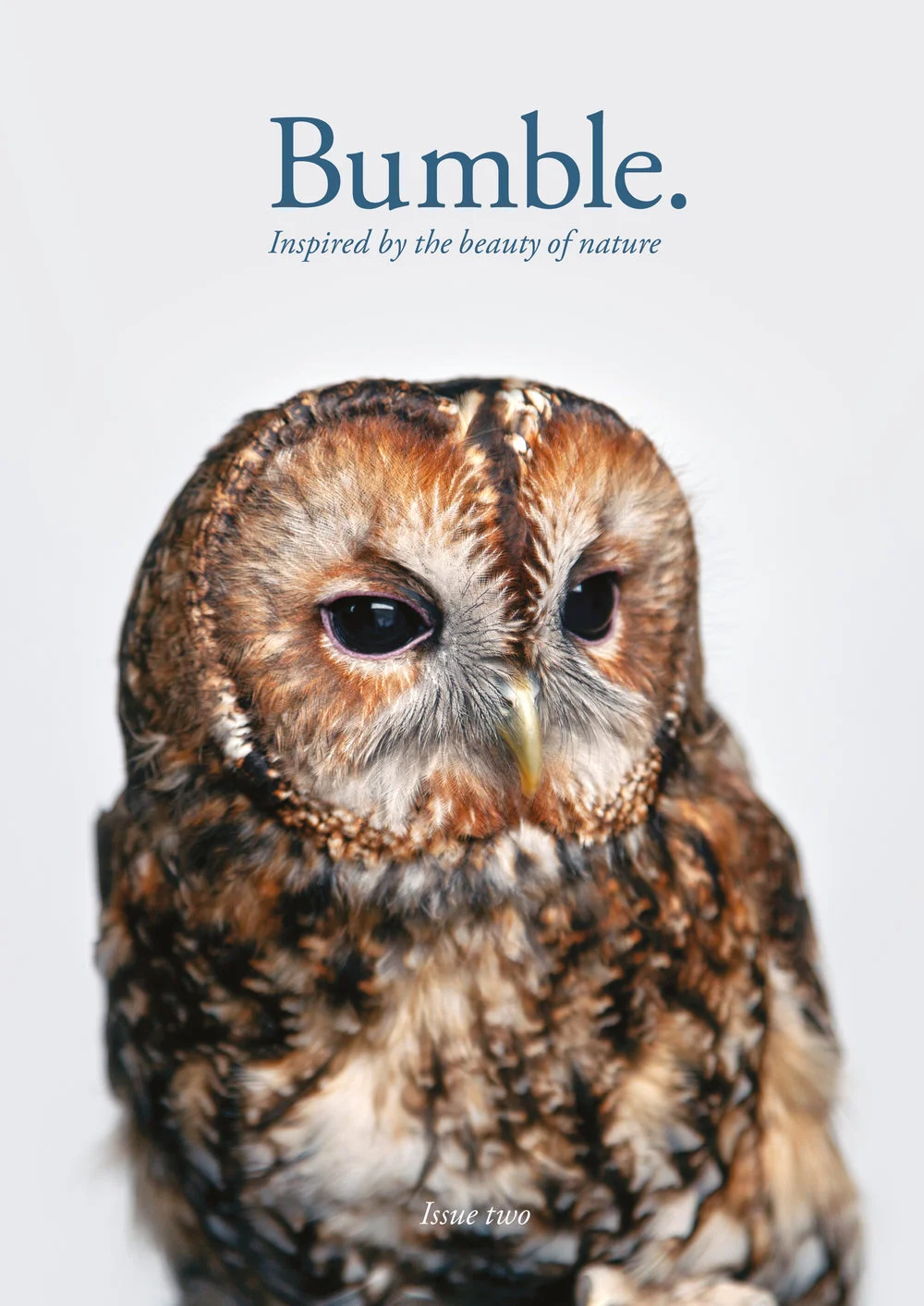Bumble—Issue+Two—Cover.jpg