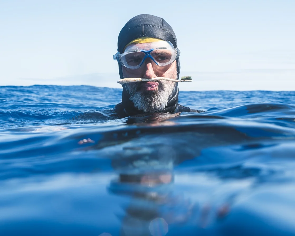 PLASTIC POLLUTION IS COMING FROM AN UNLIKELY SUSPECT
