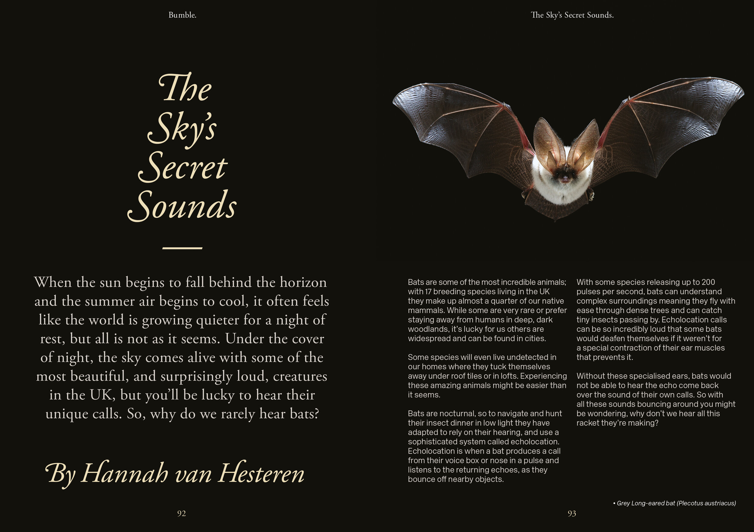 Bumble—Issue Two46(RGB).jpg