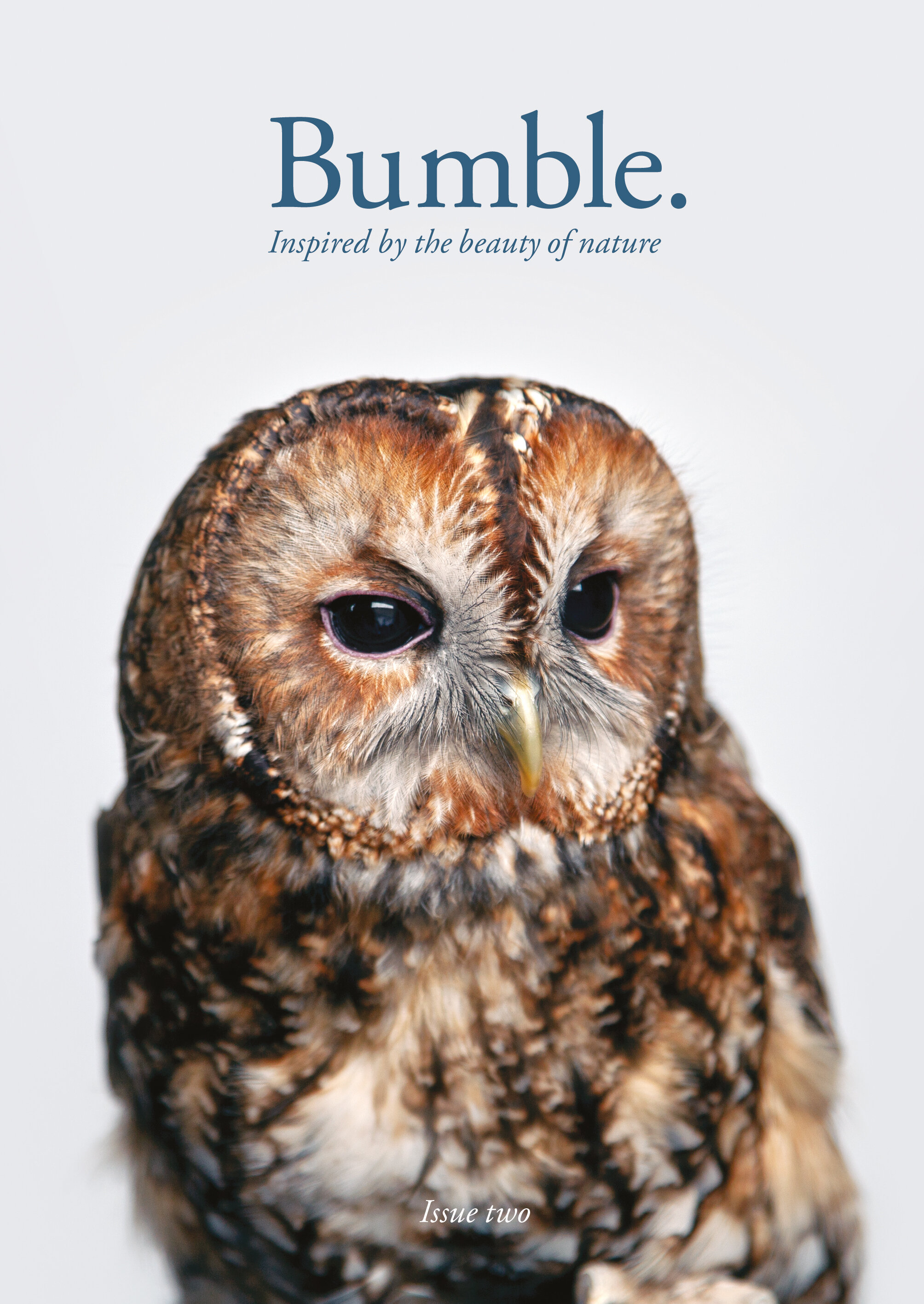 Bumble—Issue Two—Cover(RGB).jpg