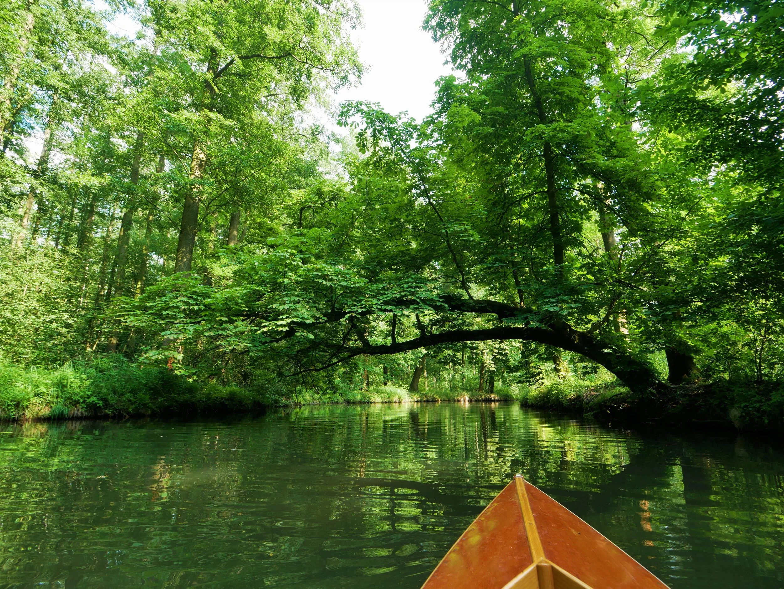 Paddling your own kayak – ultra-low carbon travel in Spreewald, Germany / Alfredo Romero-Muñoz