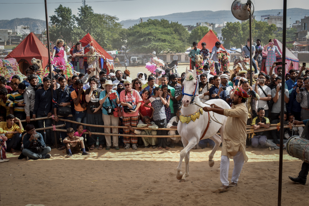 This horse is part of a ‘Dancing Horse’ show, where tourists gather to watch the horse rhythmically dance on their two hind legs to the beat of the loud music. Pushkar, India, 2018