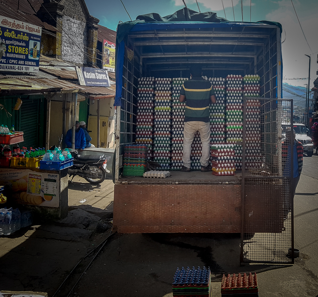 ‘Fresh’ eggs being delivered to a shop. India, 2018