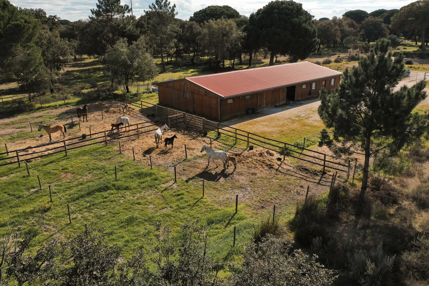 DJI_0551-Edit.jpg