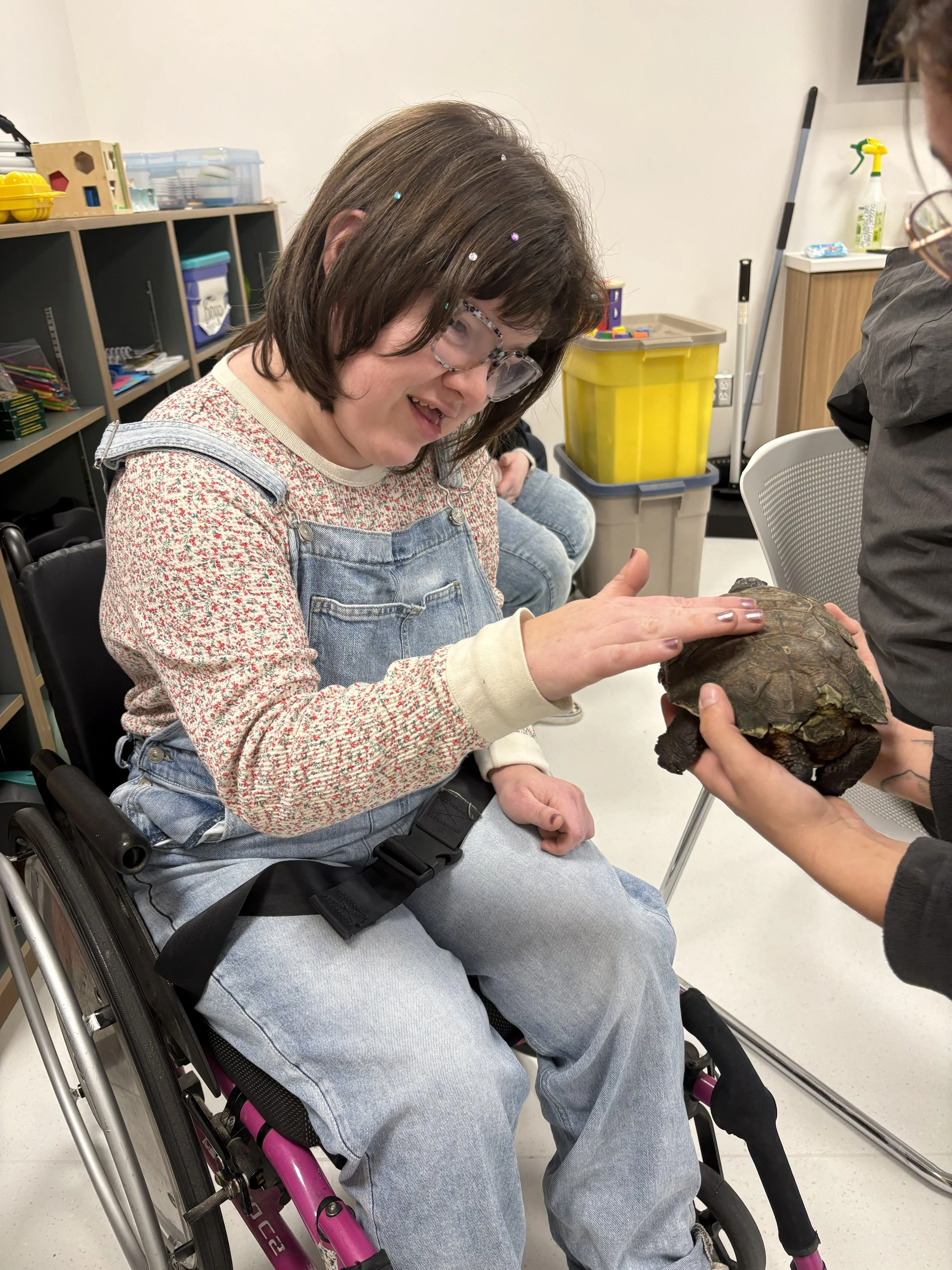jpeg Amanda & turtle.jpeg
