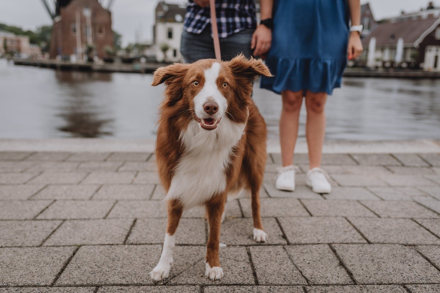 Vicky McLachlan photography | Haarlem Photographer | Couples photoshoot_12