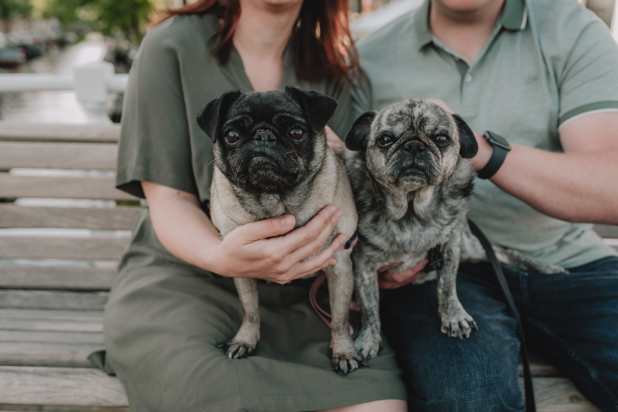 Family photoshoot with dogs in Haarlem by Vicky McLachlan Photography | Adi_11