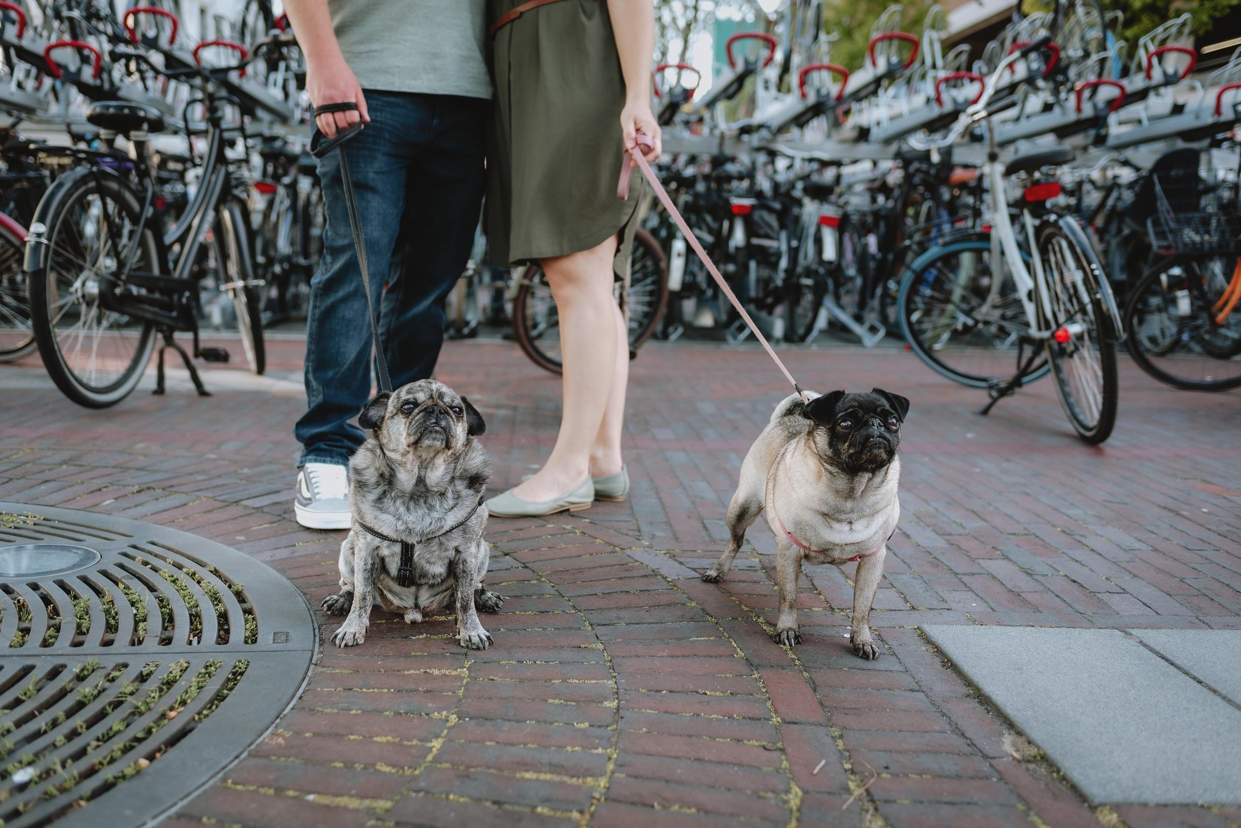 Family photoshoot with dogs in Haarlem by Vicky McLachlan Photography | Adi_3