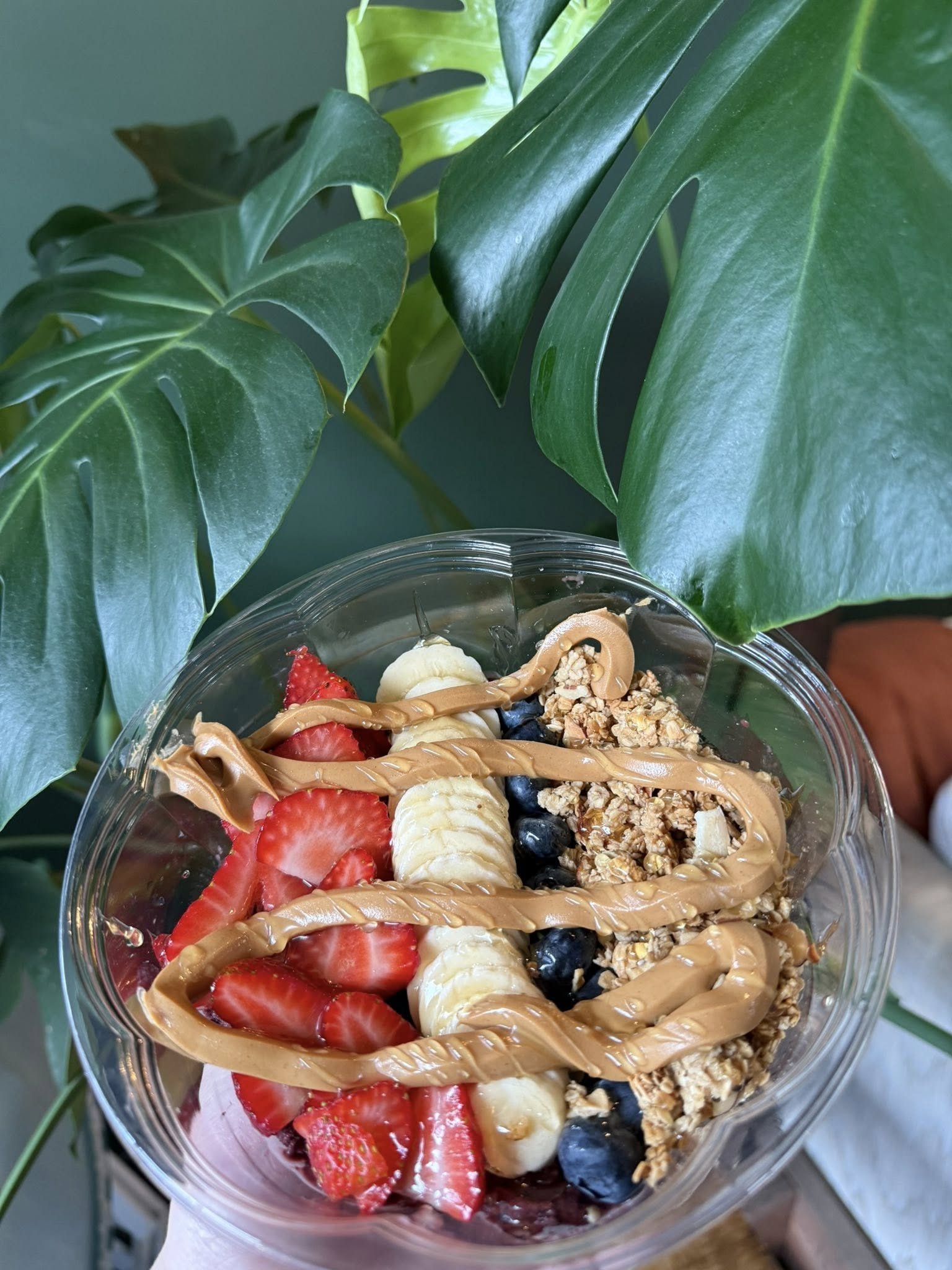 acai.jpeg