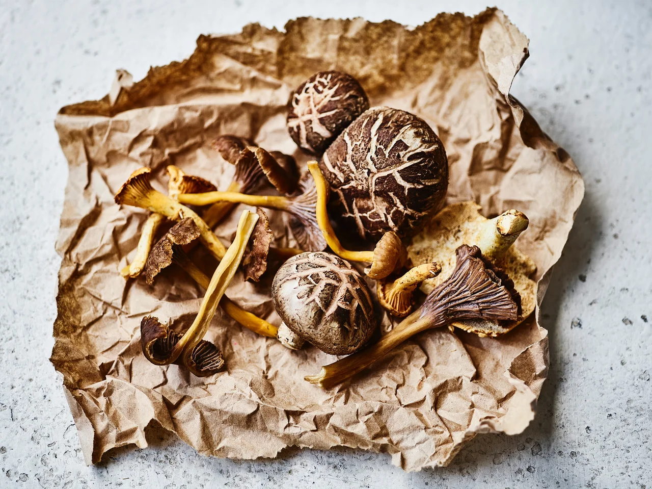 Wild Mushrooms