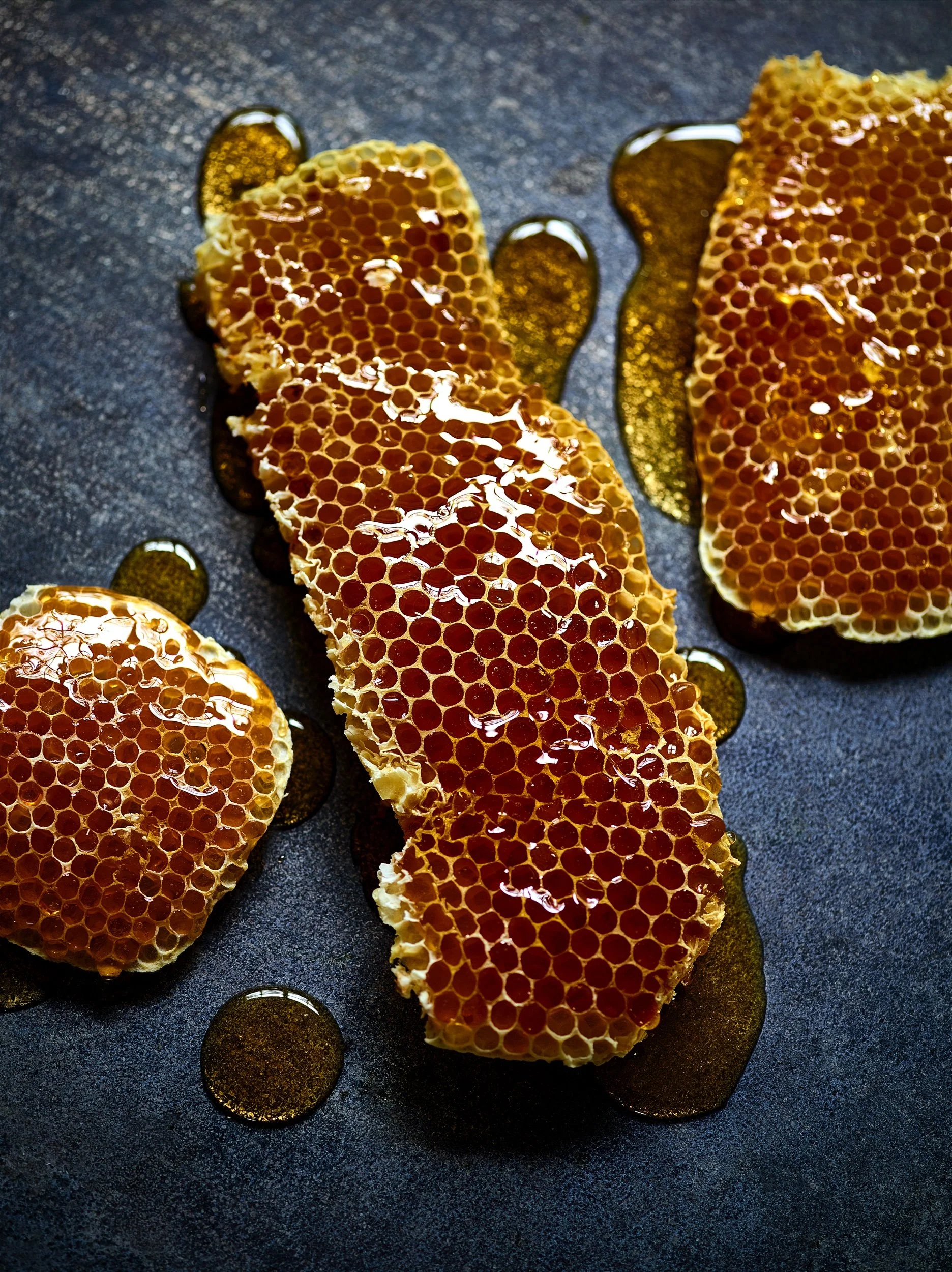 Honey  bee Comb102432.jpeg