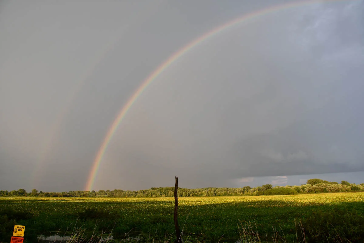 DSC_0252.jpg