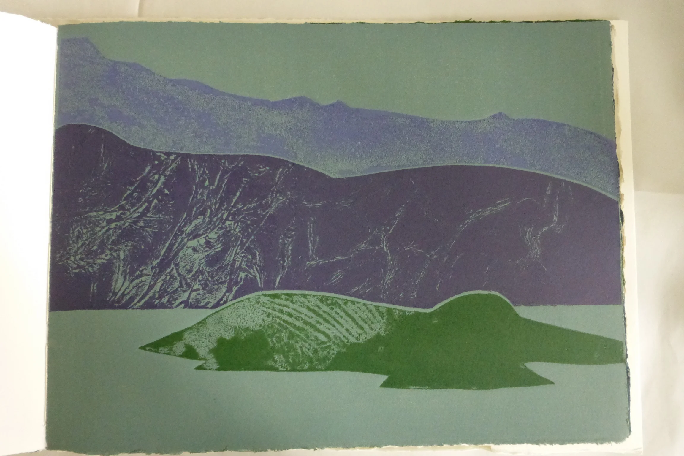 Printed Postcards book 6.JPG