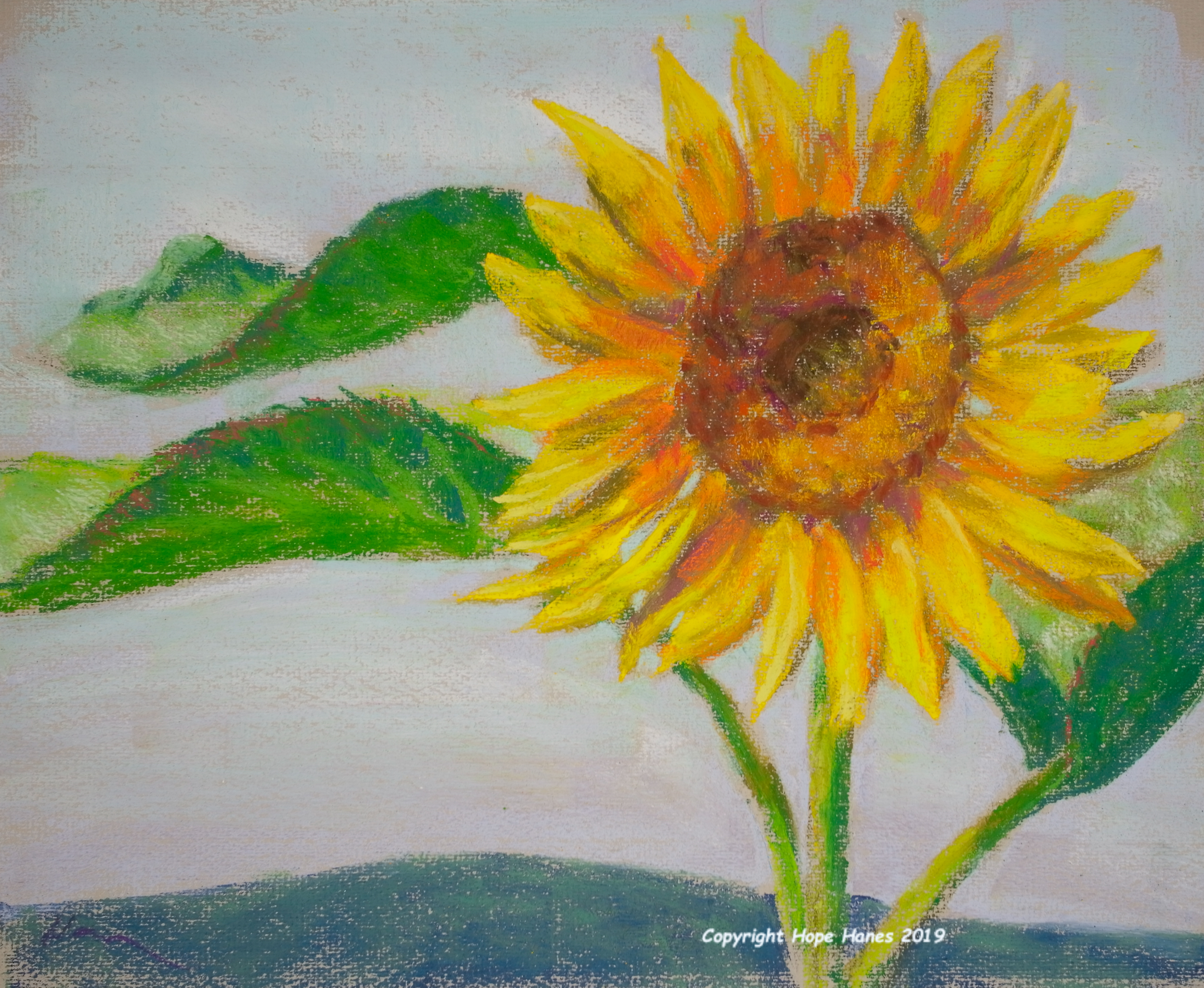 "Sunny Morning" 2019
