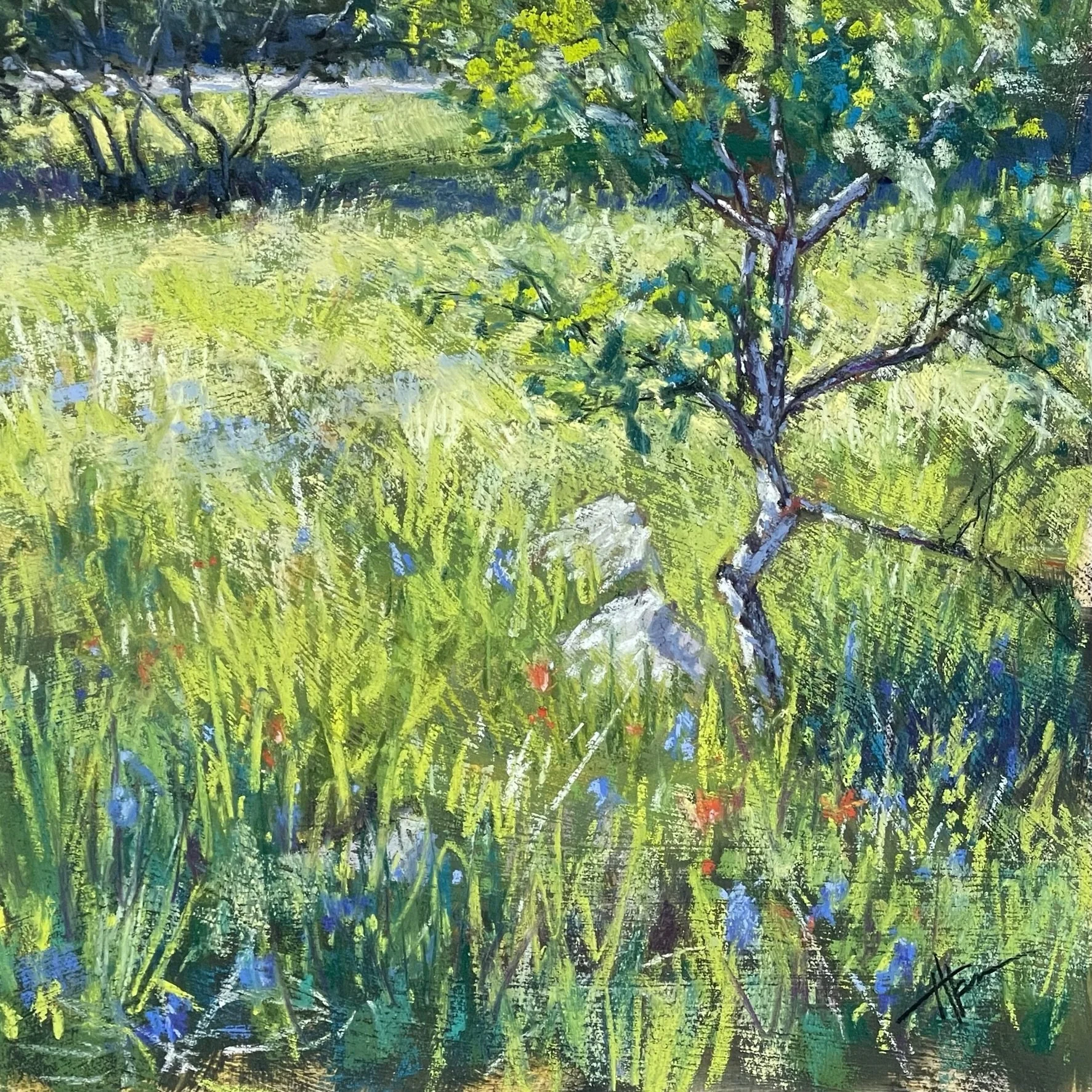 April near Austin.jpeg