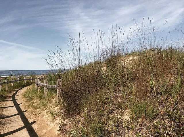 | BEACH BUMMING |
.
.
.

Feels like summer gave up. #beachday #saublebeach #saublebeachlife #saublebeach2019 #beach #dunes #beachlife #beachfun #sand #lakehuron #lakehuronlove #lakehuronlife #cottagelife