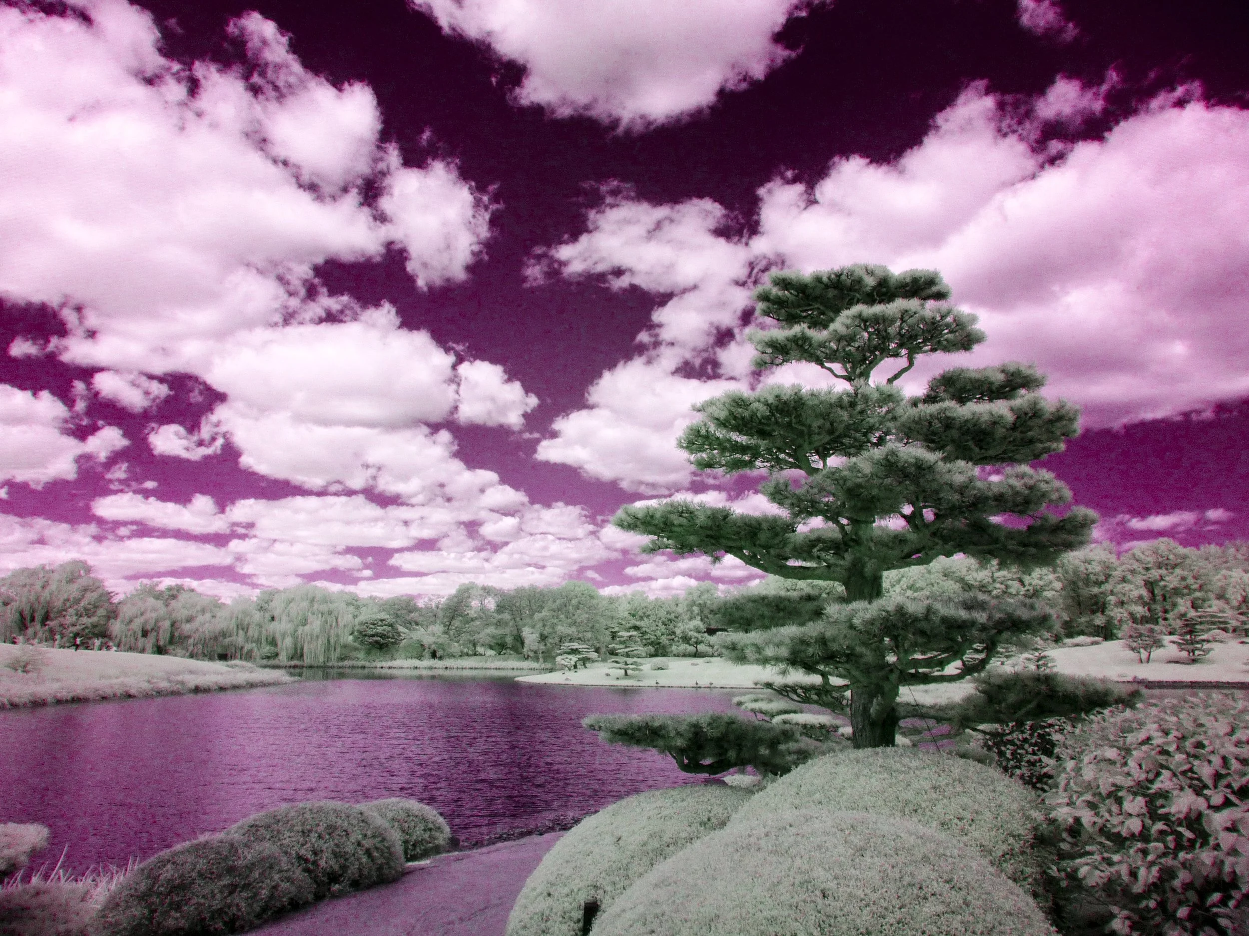 Infrared Zen