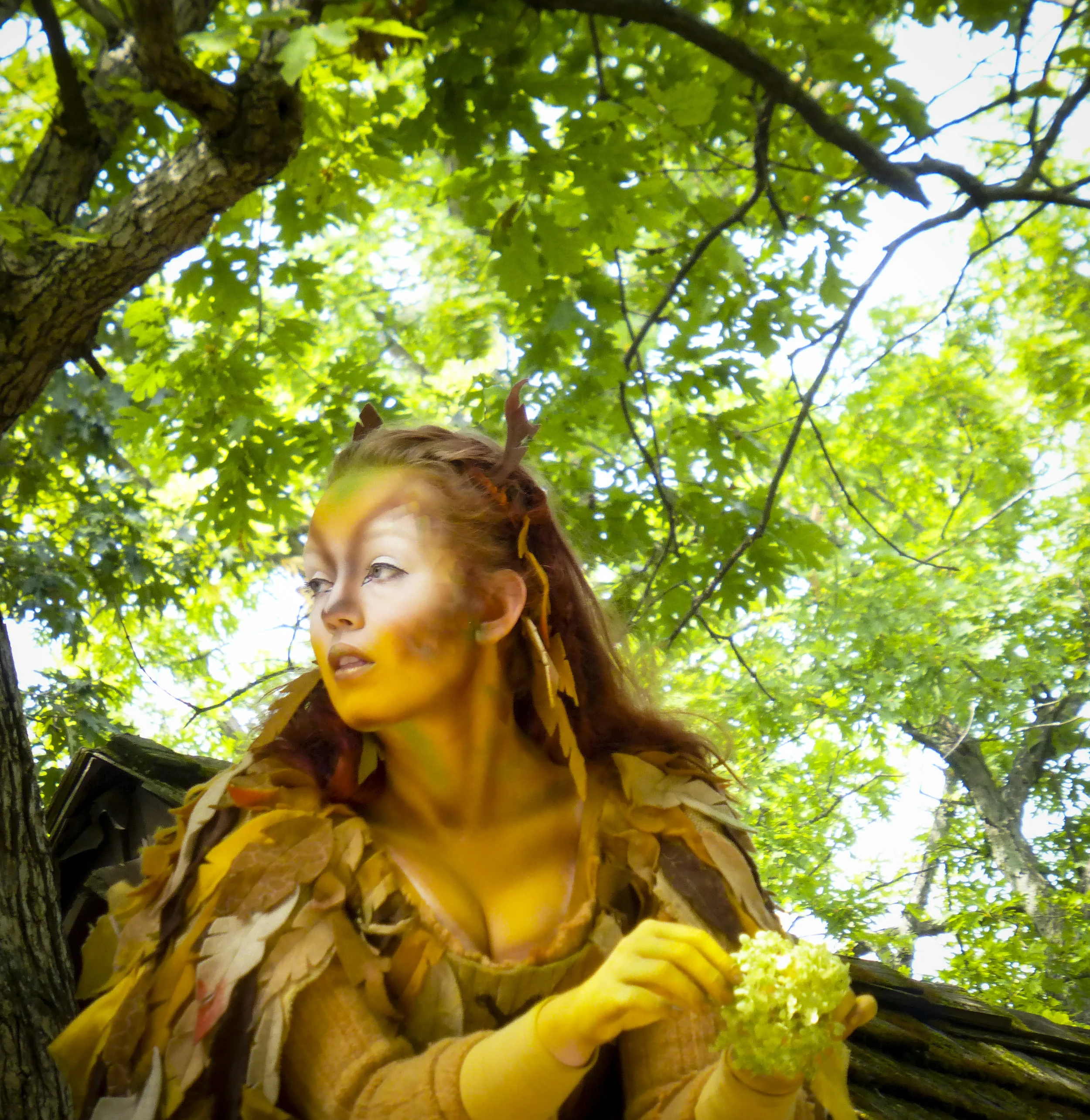 Renn Fairy