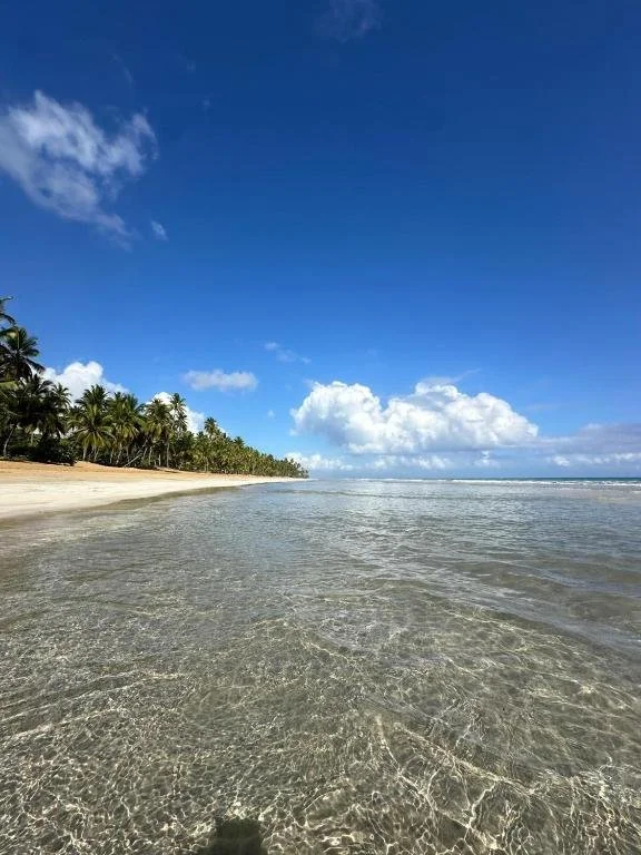 kaiacosonbeachytt.jpg