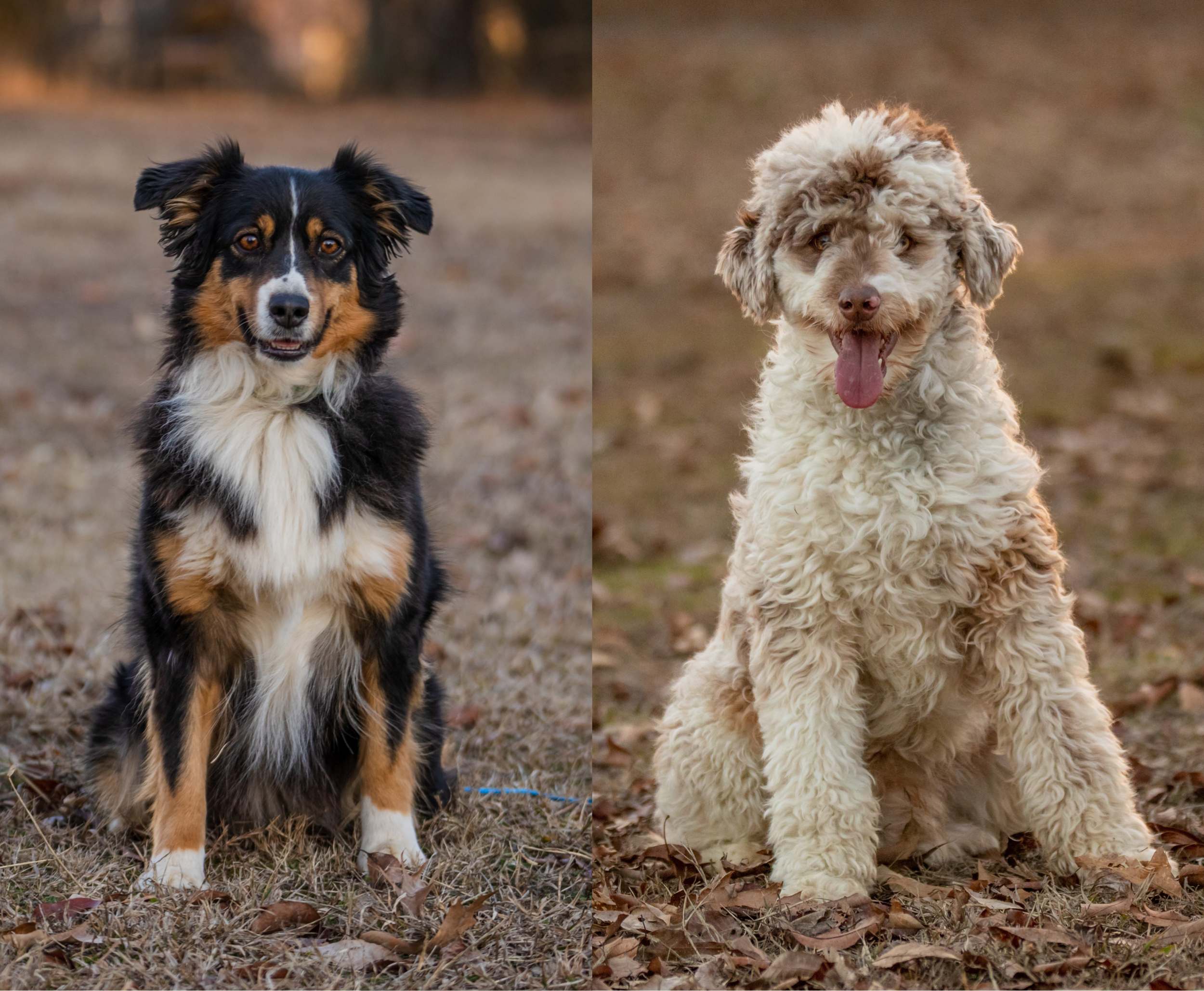 A91F5A86-9C06-4502-AE5B-C0A492C3ACD8 2.PNG