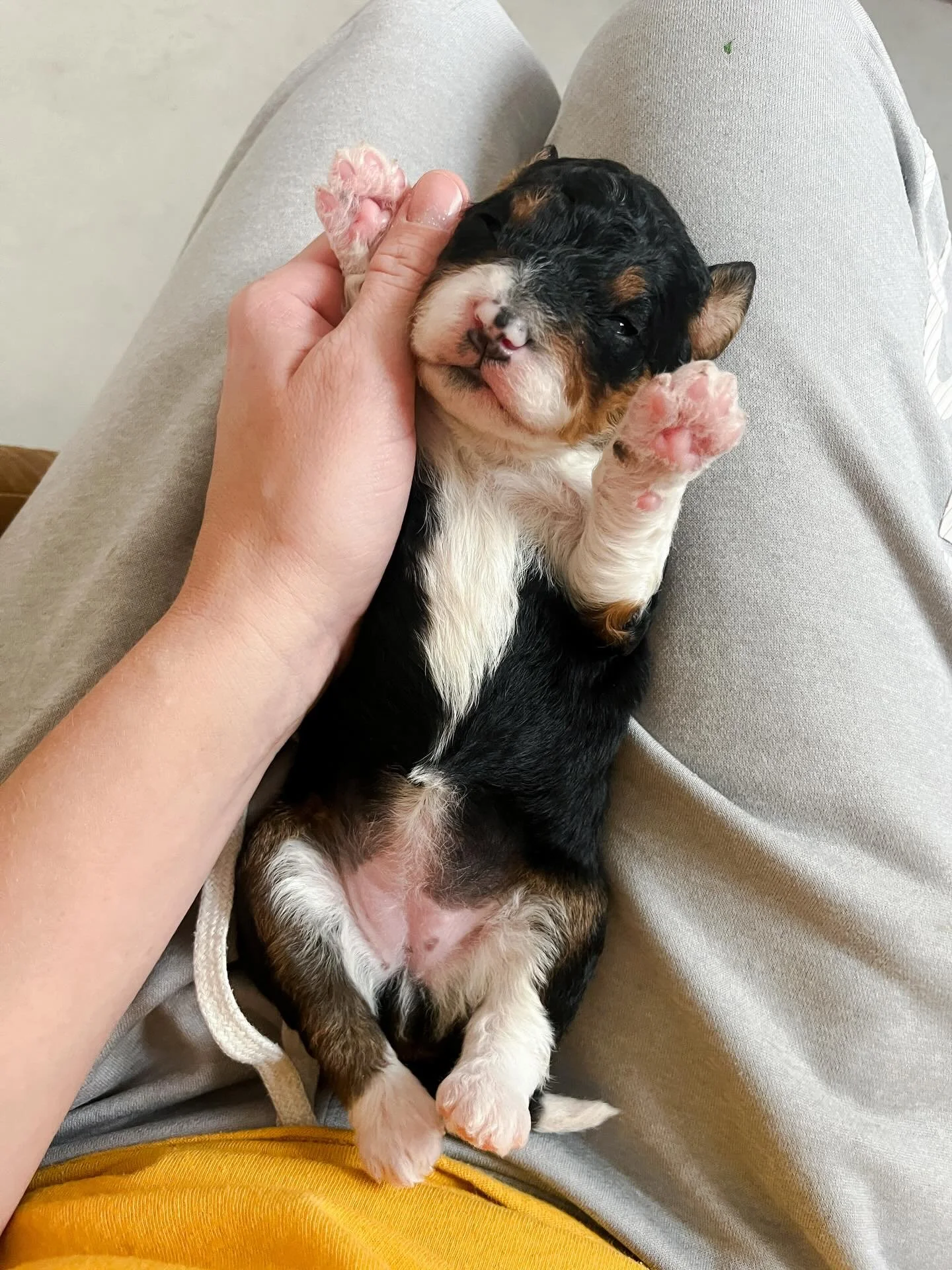 Their eyes are opening!