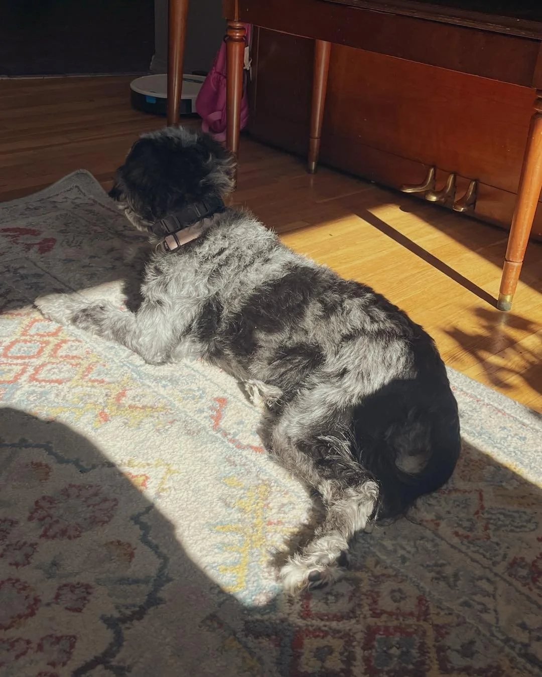 Maggie&rsquo;s coat pattern reminds me of dappled sunlight ☀️