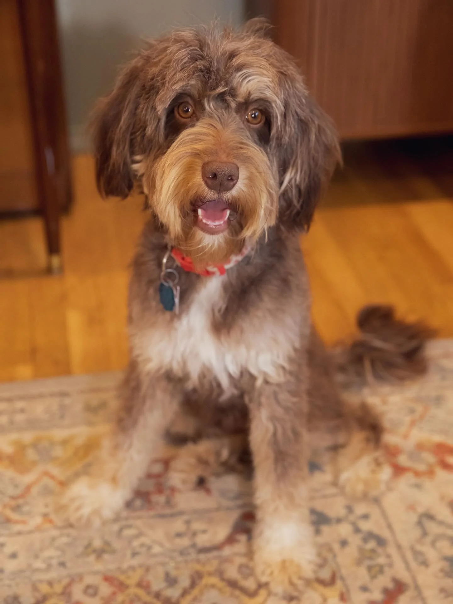 Mini photoshoot with mama Zoe! Isn&rsquo;t she beautiful 🤩🤩