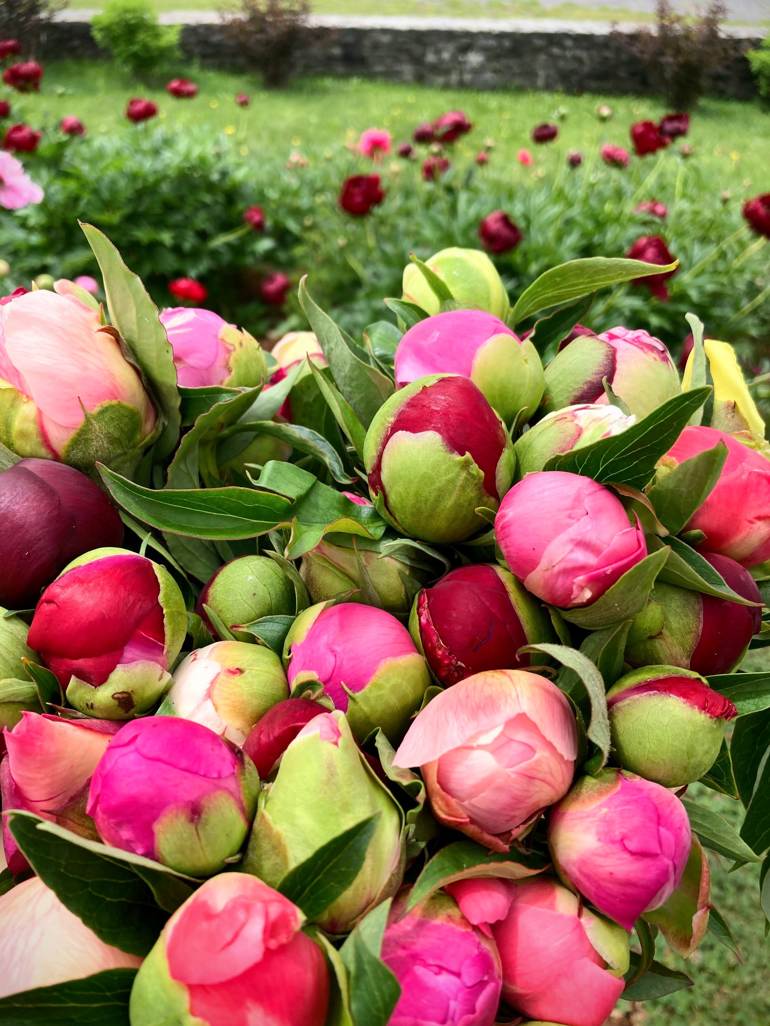 Petit bouquet de la productrice.jpg