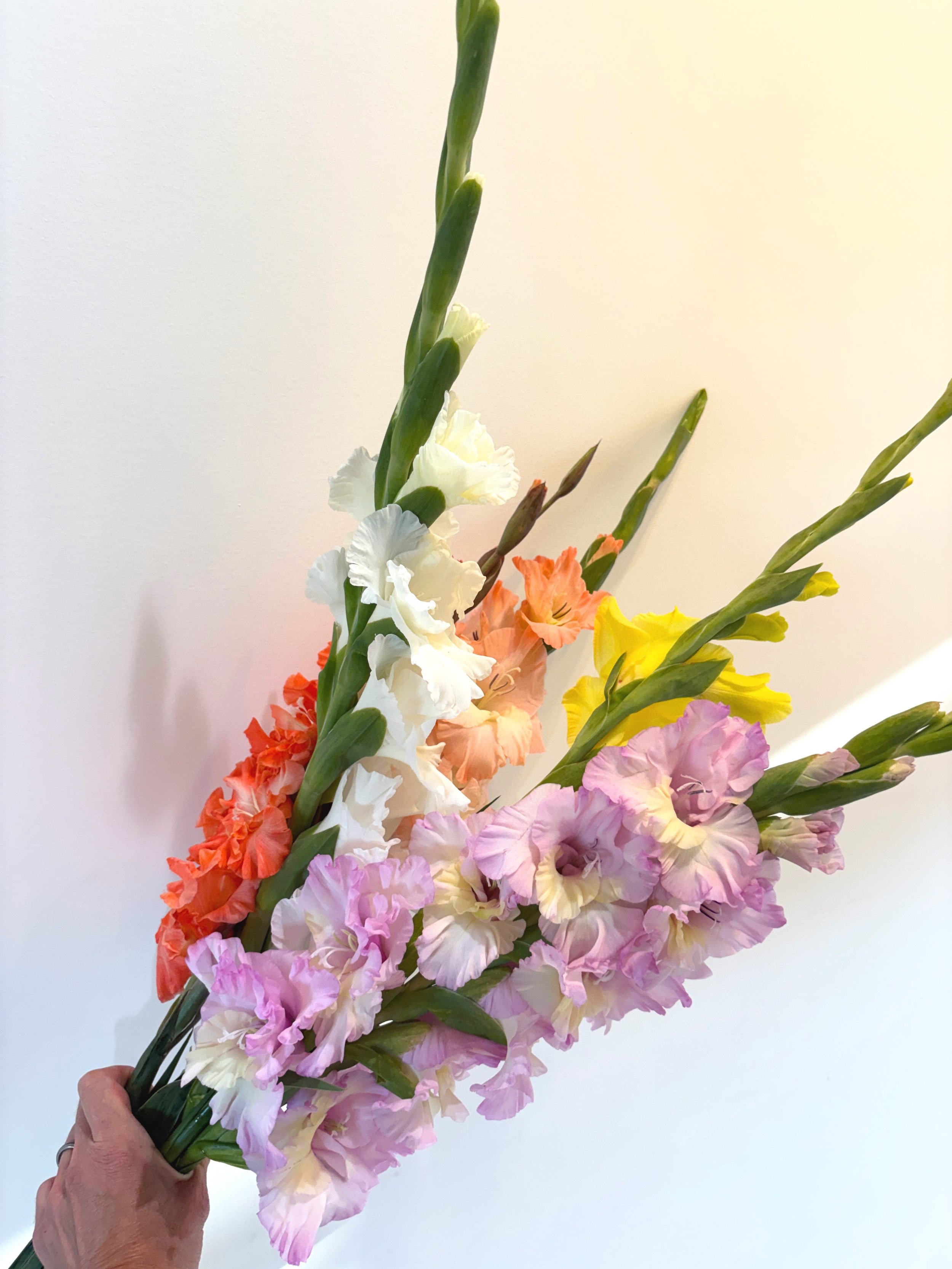 Bouquet 5 glaïeuls.JPG