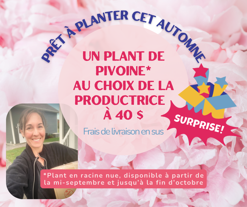 Plant au choix de la productrice.png