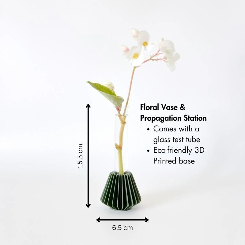 Vase Hanok dimensions.jpeg