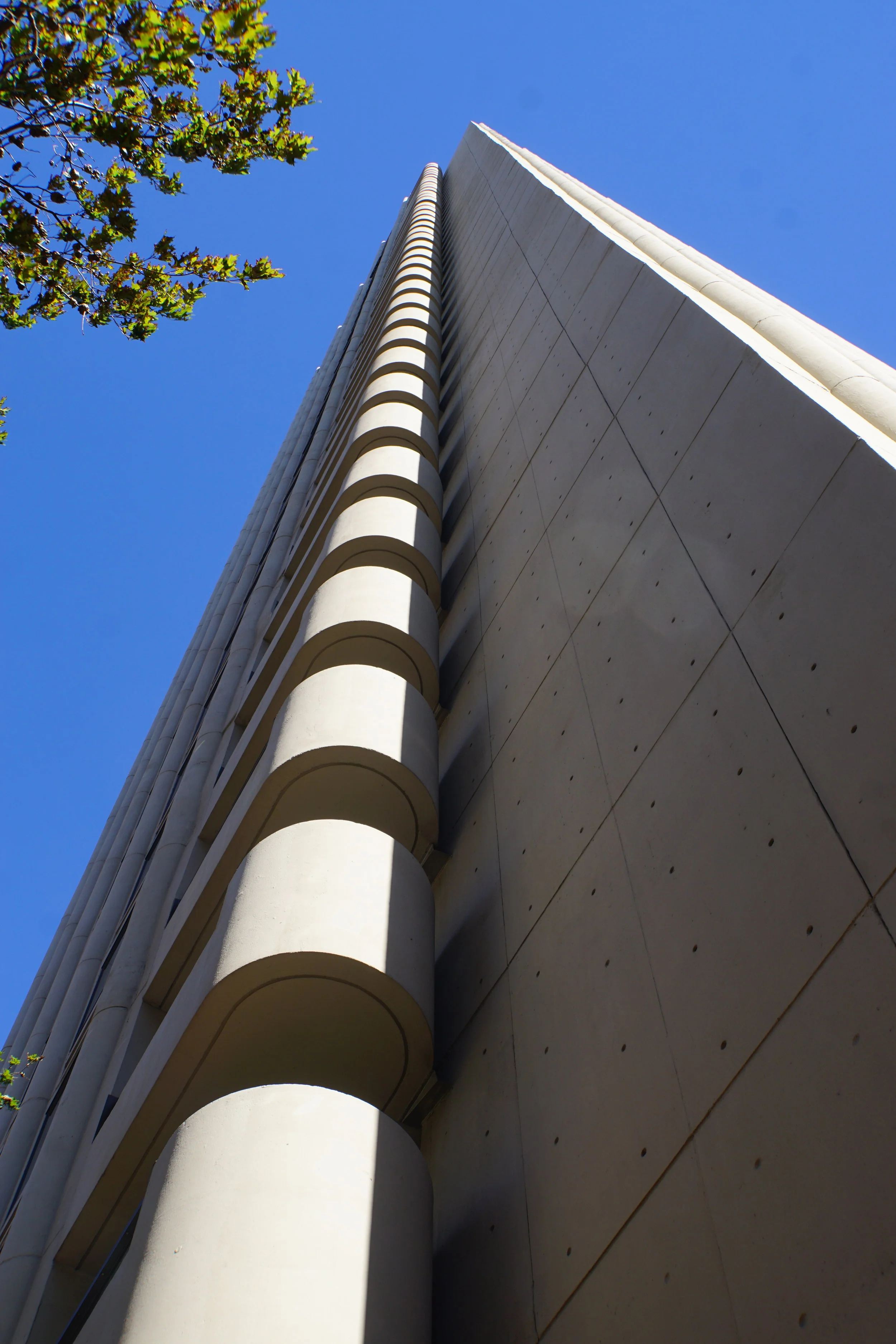 DSC02755.JPG
