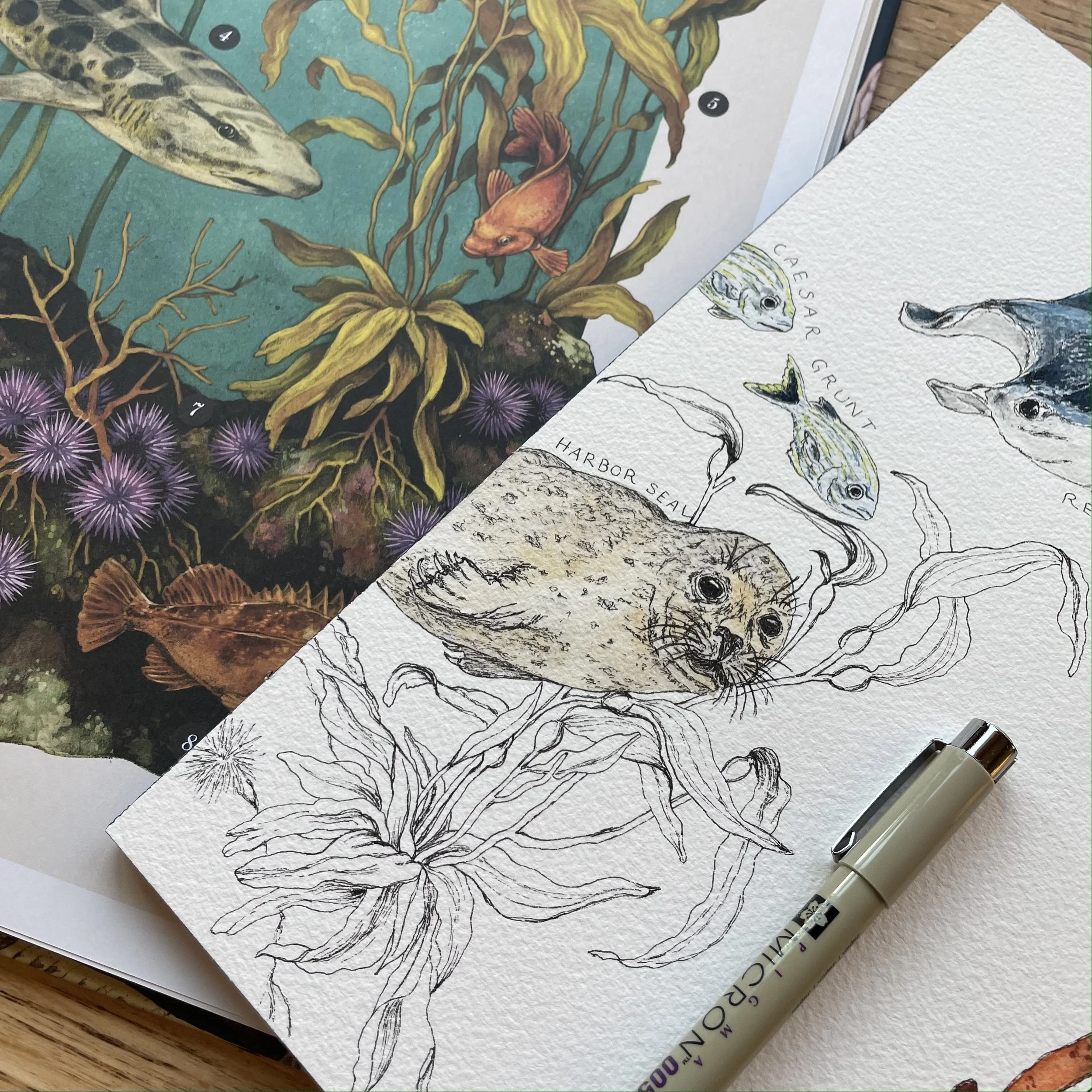 Sketching in Pen